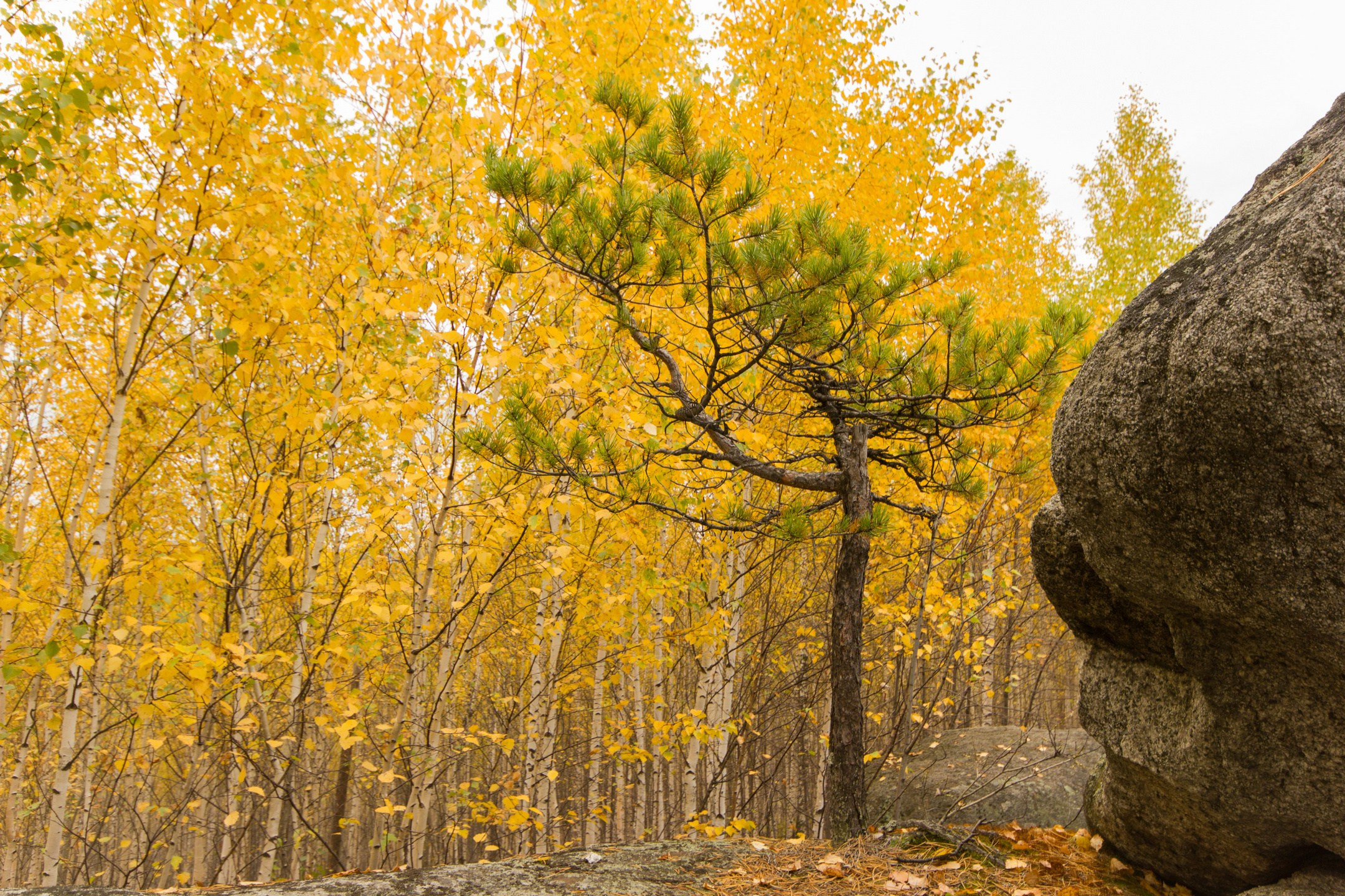 Пейзажные фотографии. Евгений Restwin — Пейзажный и репортажный фотограф