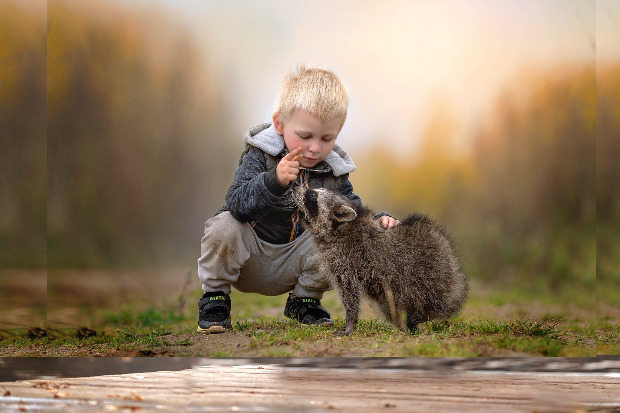 Фотограф анималист Ольга Луканенкова в Москве