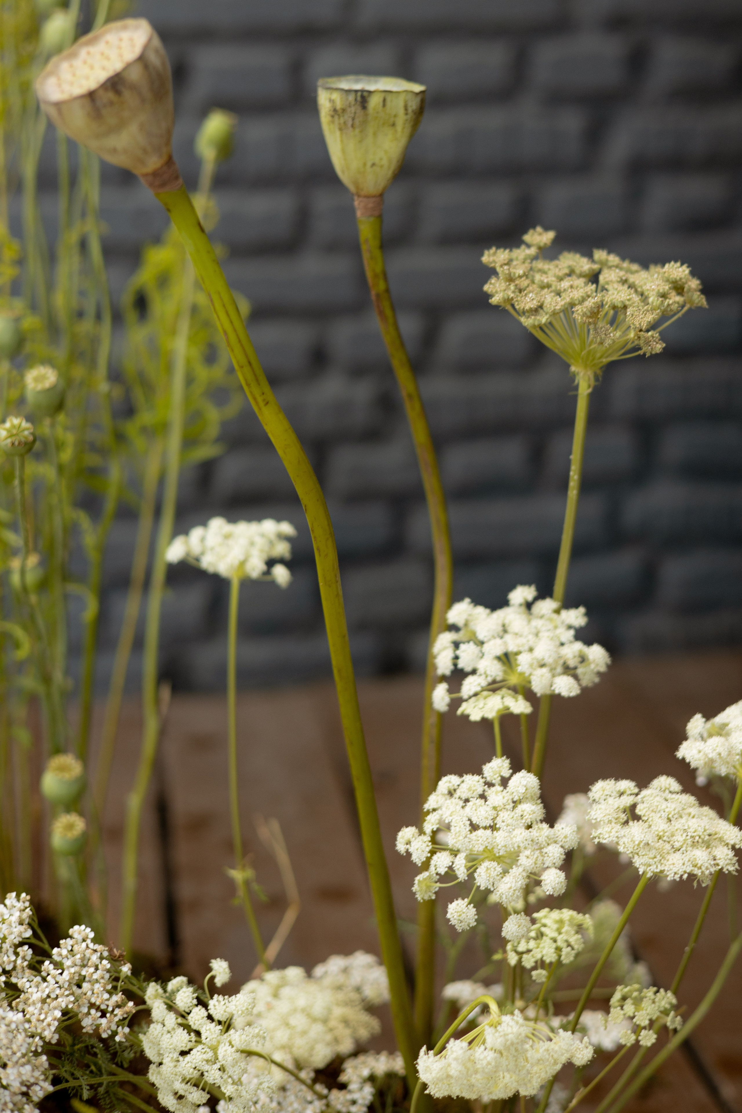 Никита & Катя. Оформление свадеб, декор свадеб Вера Маркова, Москва