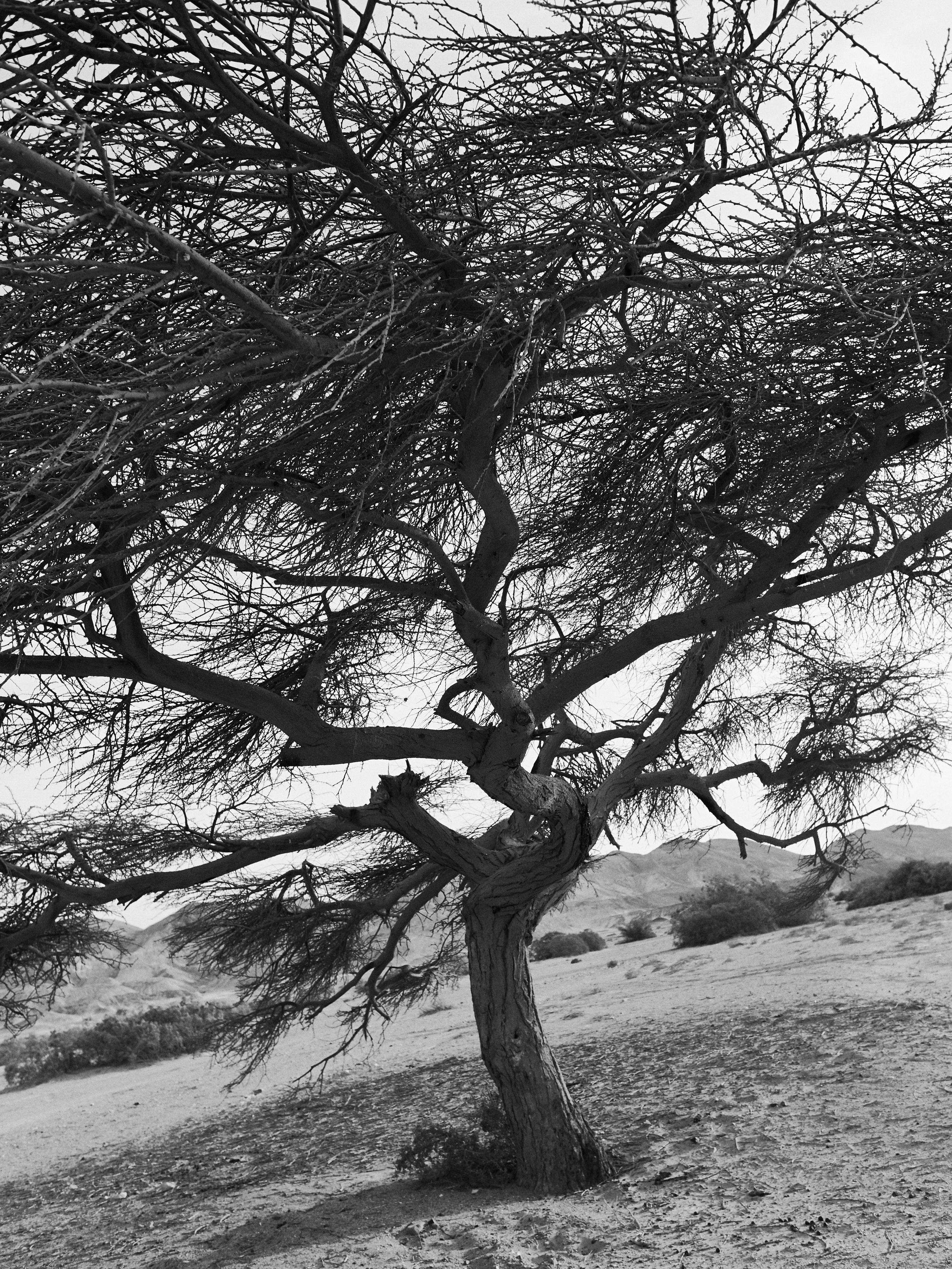 B&W. Jorgis — фотограф в Хургаде / обучение фотографии