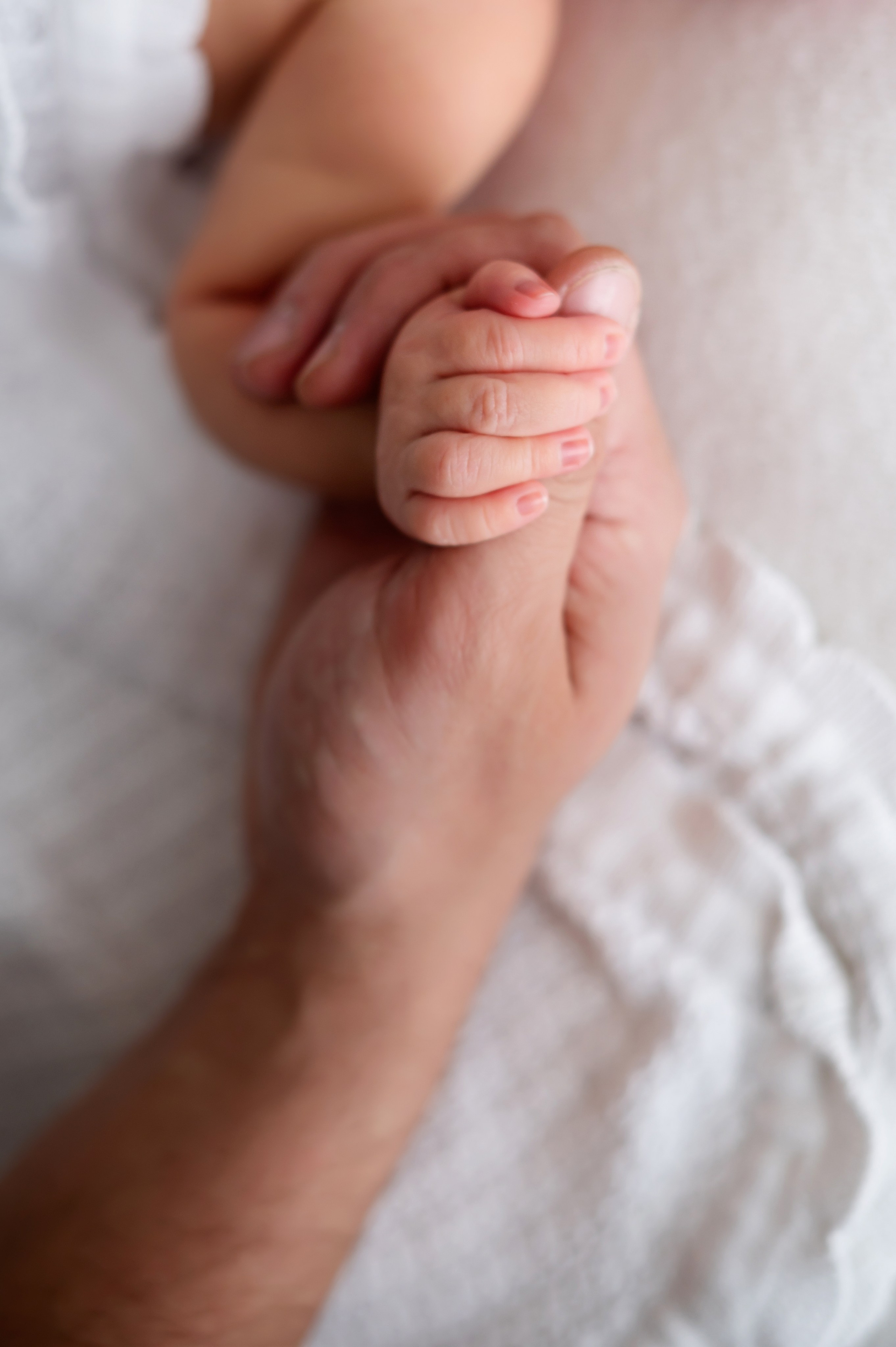 Теона 8 дней (Пакет Комфорт). Фотограф новорожденных Елена Панова