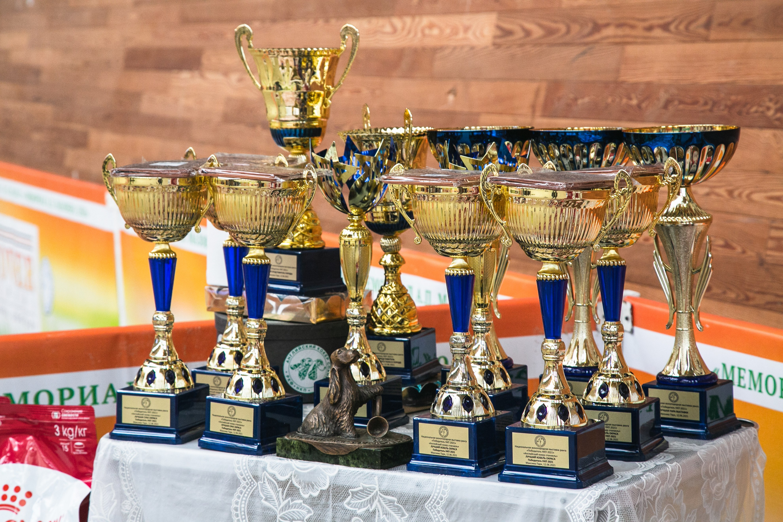 Выставки. Профессиональный фотограф Евгений Земцов в Москве. Контент съемка, репортаж мероприятий, бизнес портреты