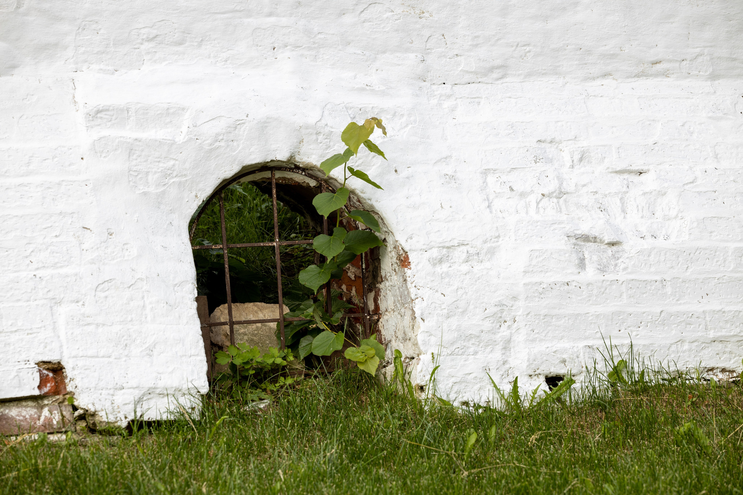 Природные пейзажи. Наталия Клевинскас портретный фотограф в Костроме