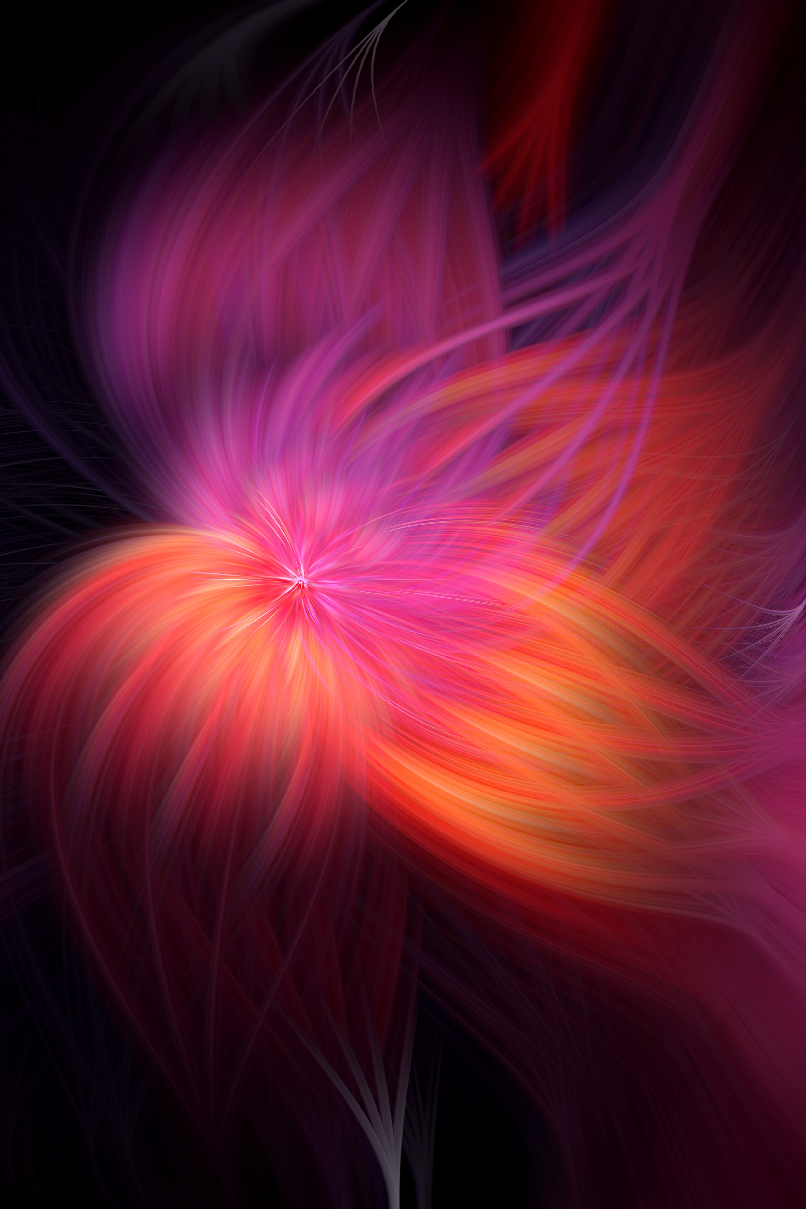 Typography. Sia Levine Design