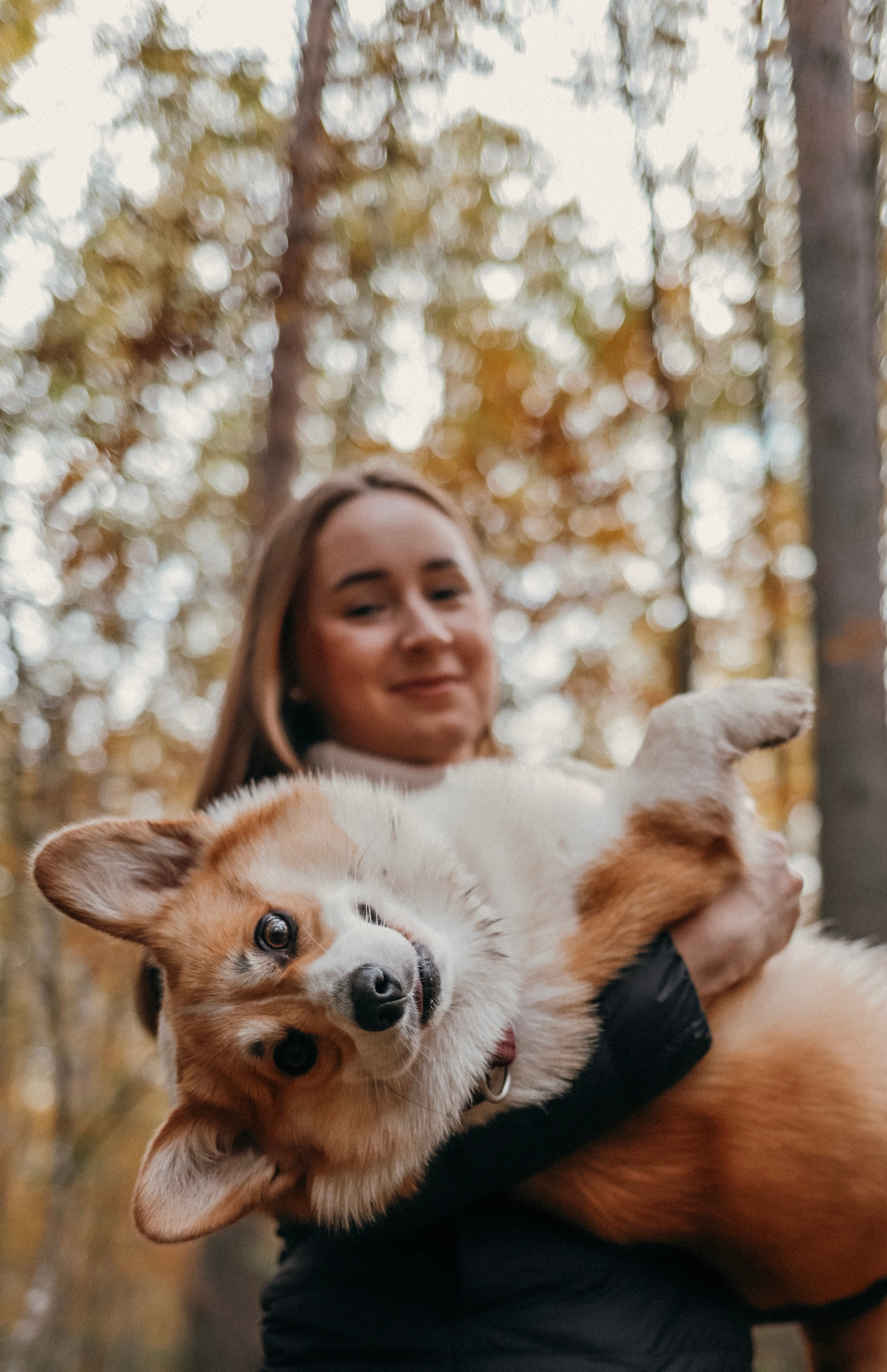 Мария & корги Мия