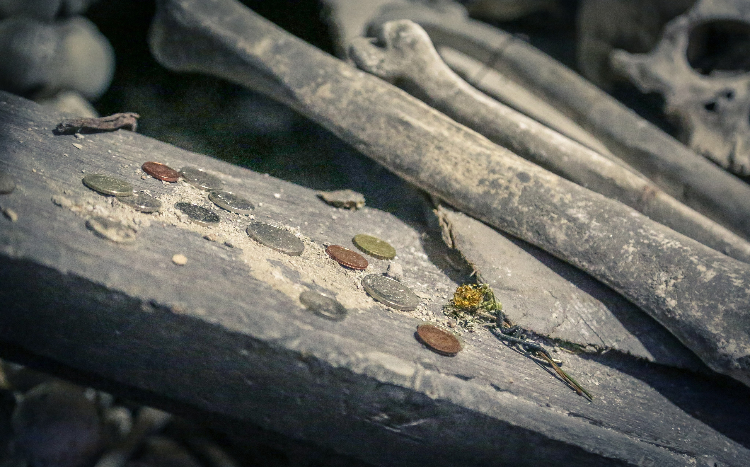 Чехия: Кутна-Гора — серебро и скелеты. Дарья Письменюк / Darya Leitstern — фотограф, музыкант, журналист, путешественник