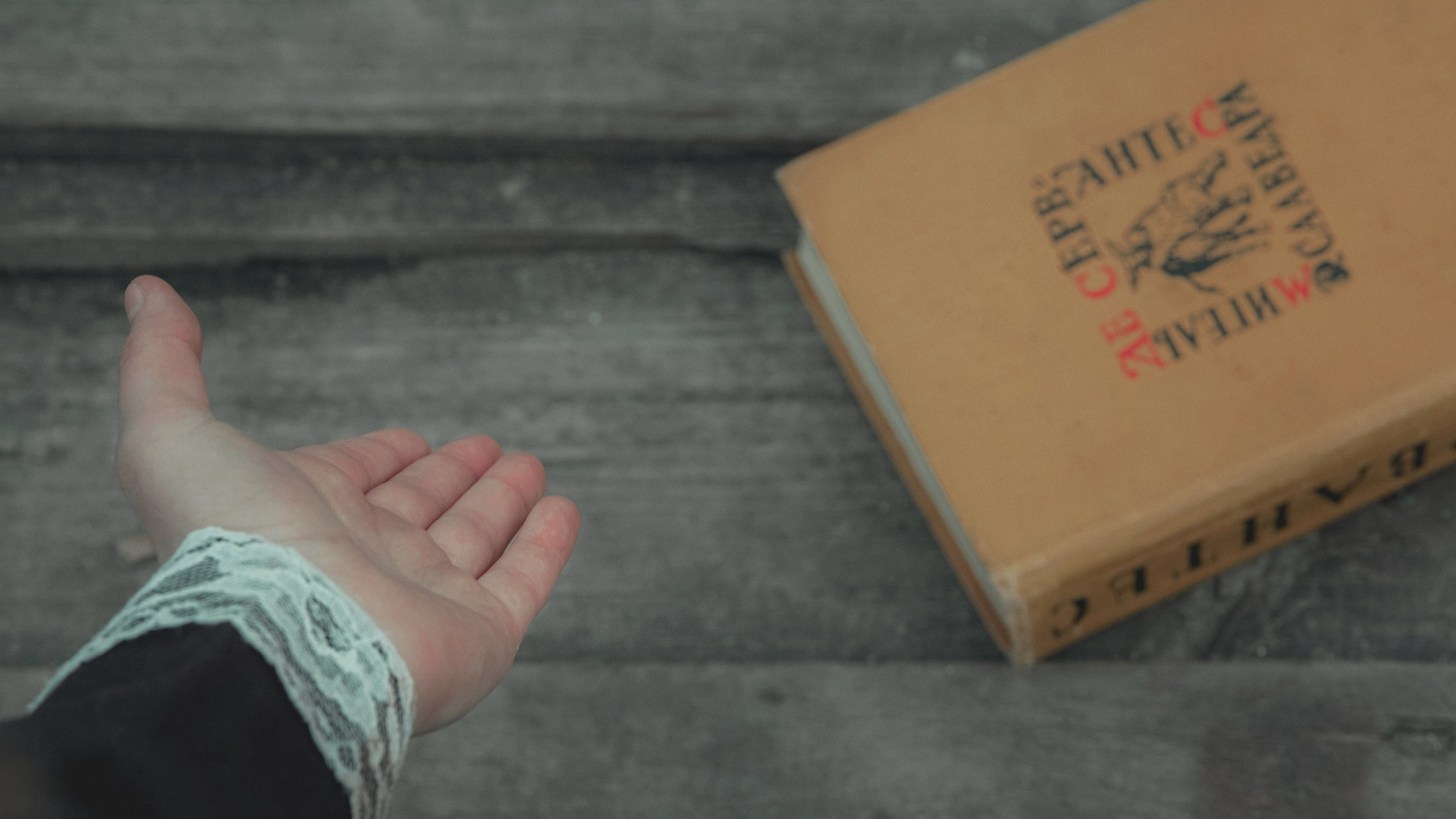 Книголюбы. Фотограф и Видеограф Артур Гимаев