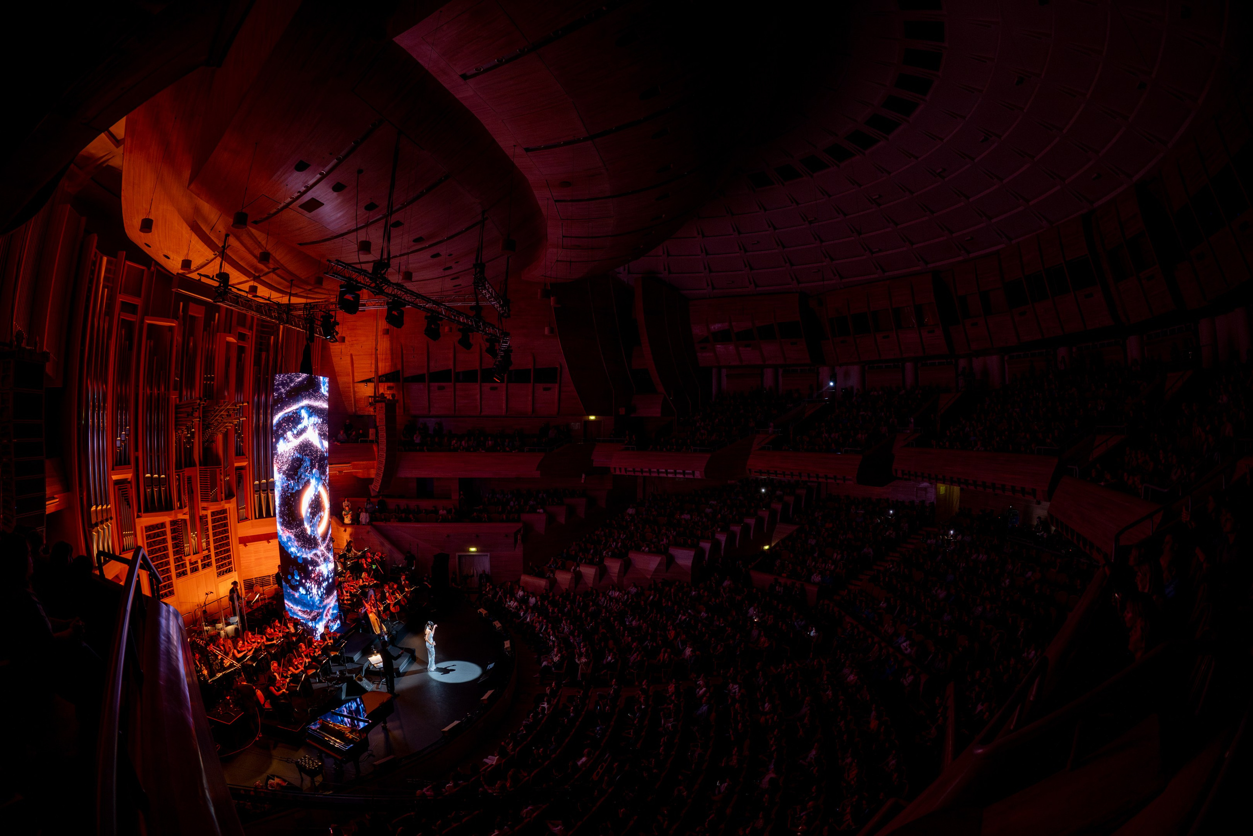 ALSOU / 2024. OOPS TEAM