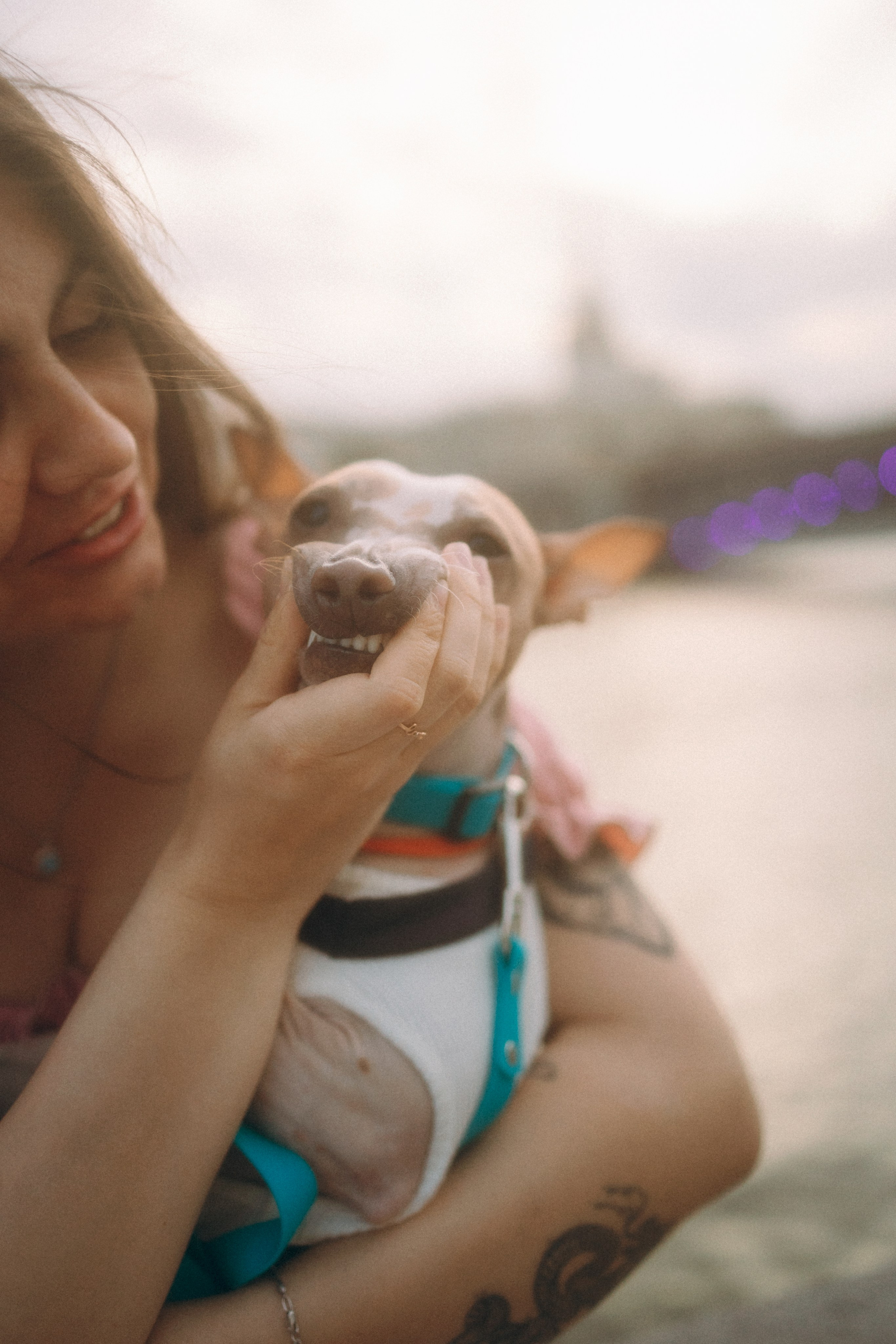 Глаша, Айрон, Ксюша и Оля. Фотограф анималист Анастасия Пикей