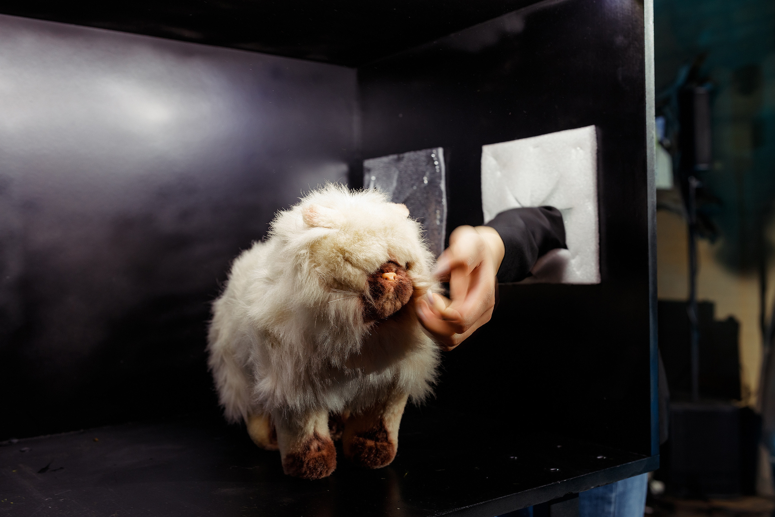 Корпоратив компании «Гарант» | Brisket BBQ. Репортажный фотограф Семён Борисов | Москва