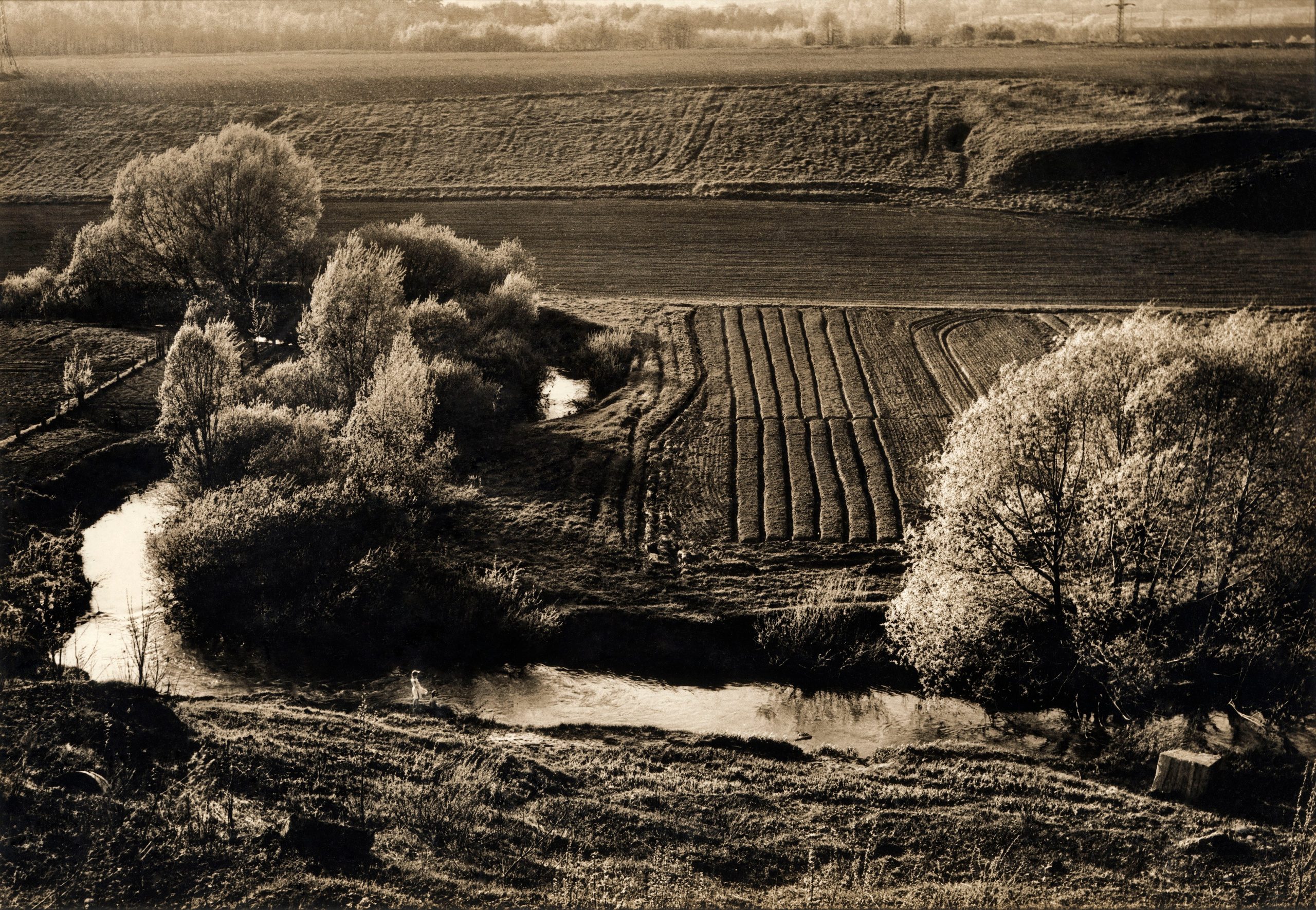 Sepia. Gueorgui Pinkhassov