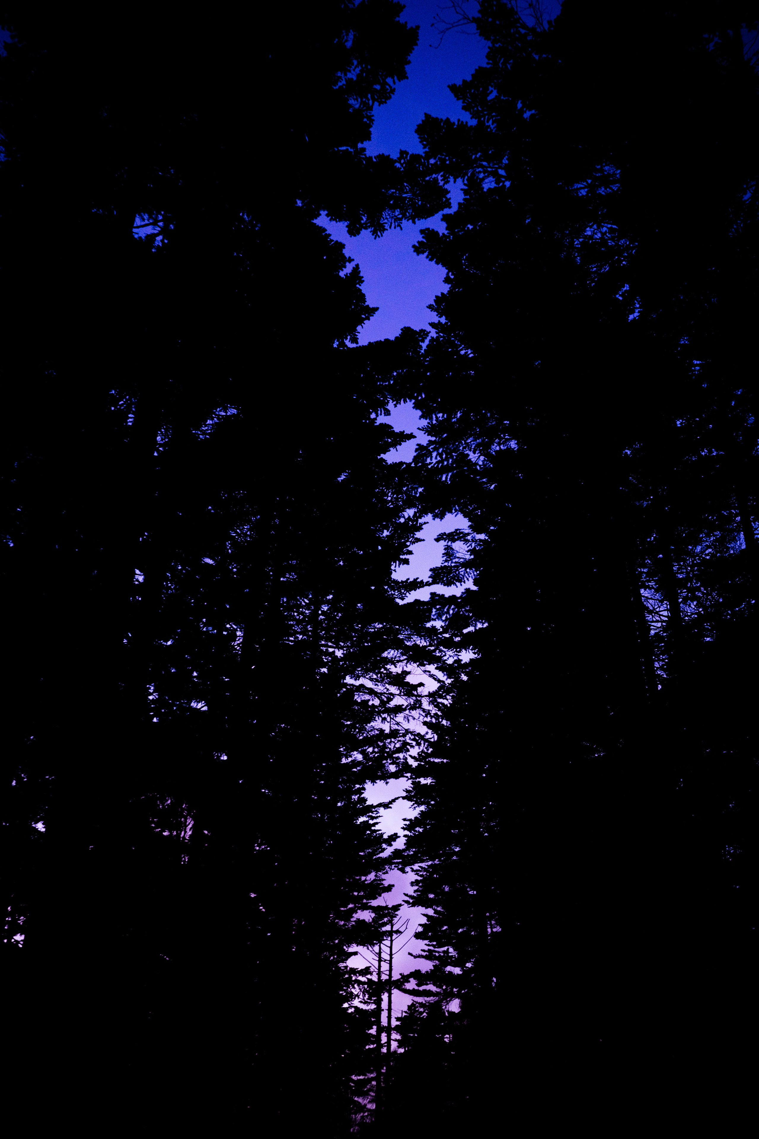 SOMEWHERE. Репортажный и клубный фотограф Москва