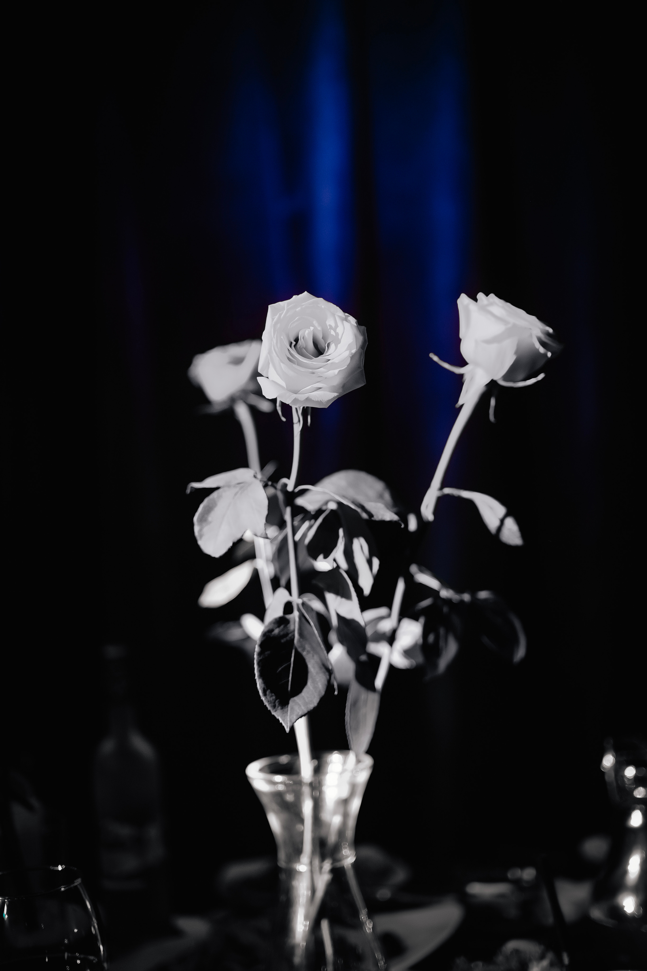 DUKE. Репортажный и клубный фотограф Москва