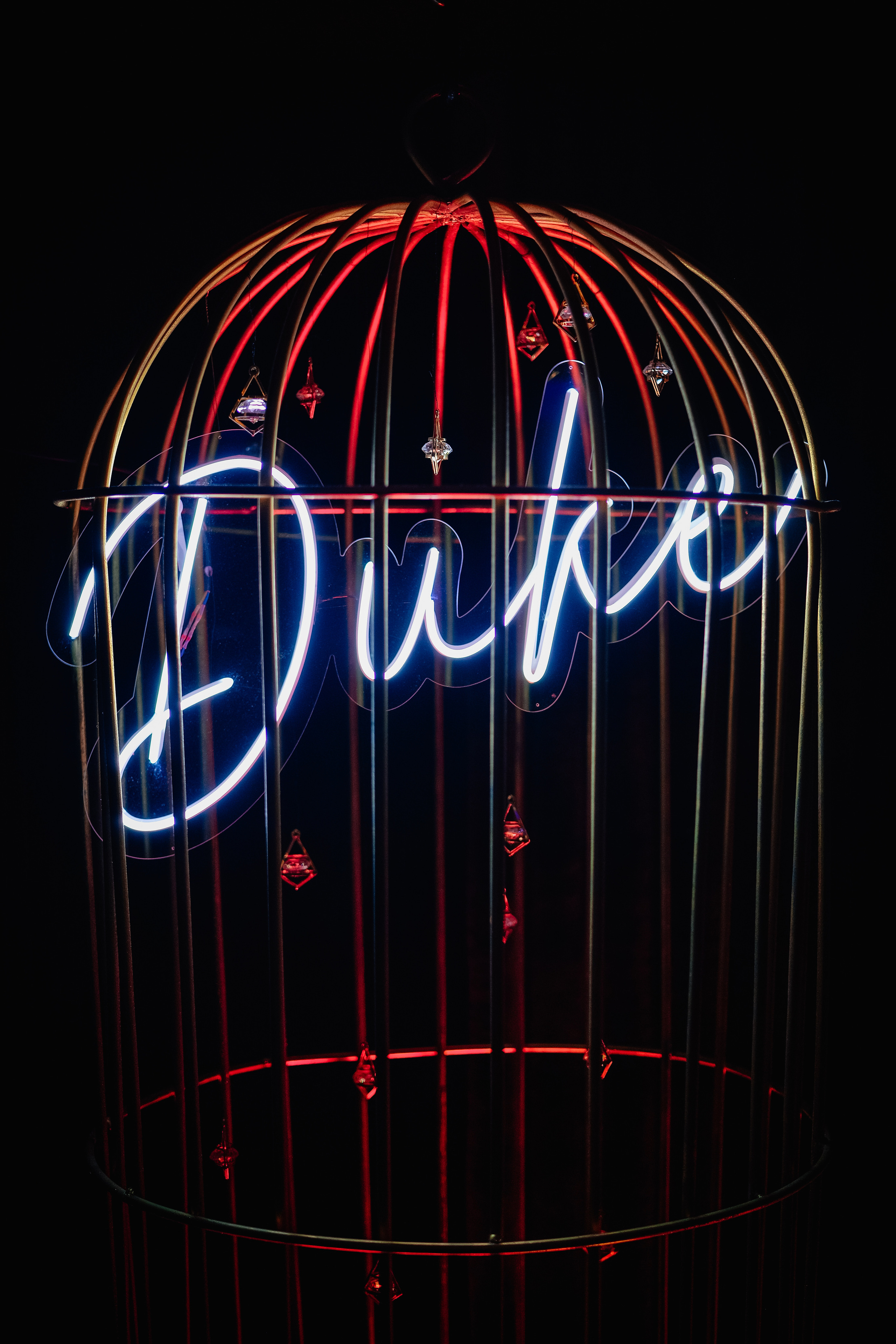 Wine Festival II. Репортажный и клубный фотограф Москва