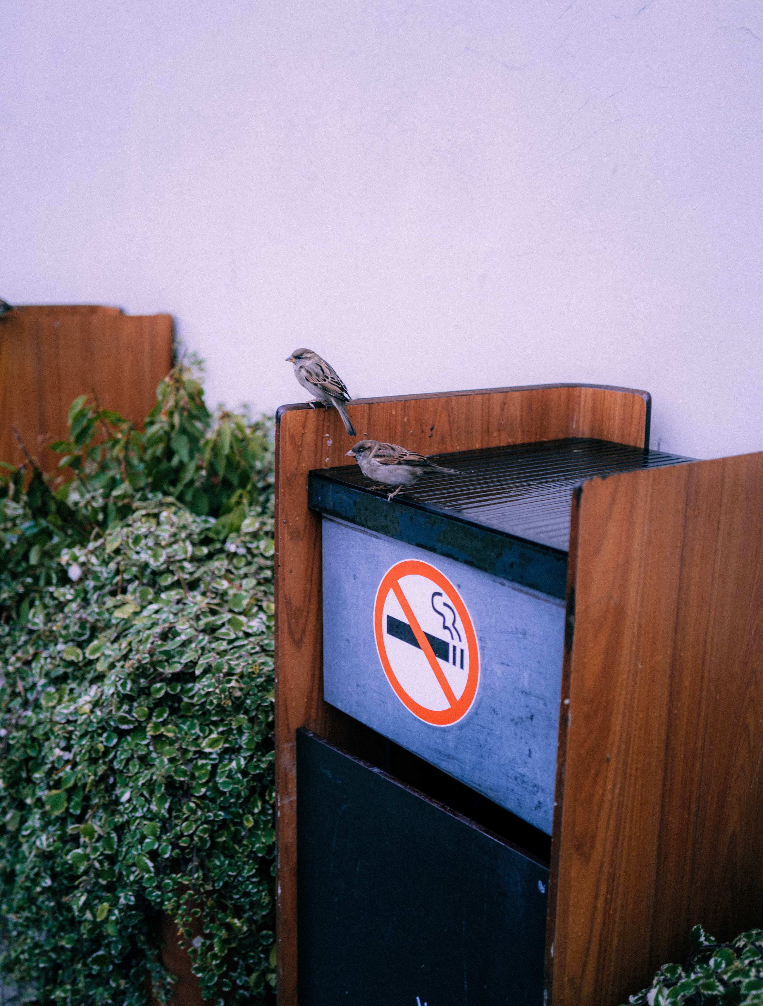 SOMEWHERE. Репортажный и клубный фотограф Москва