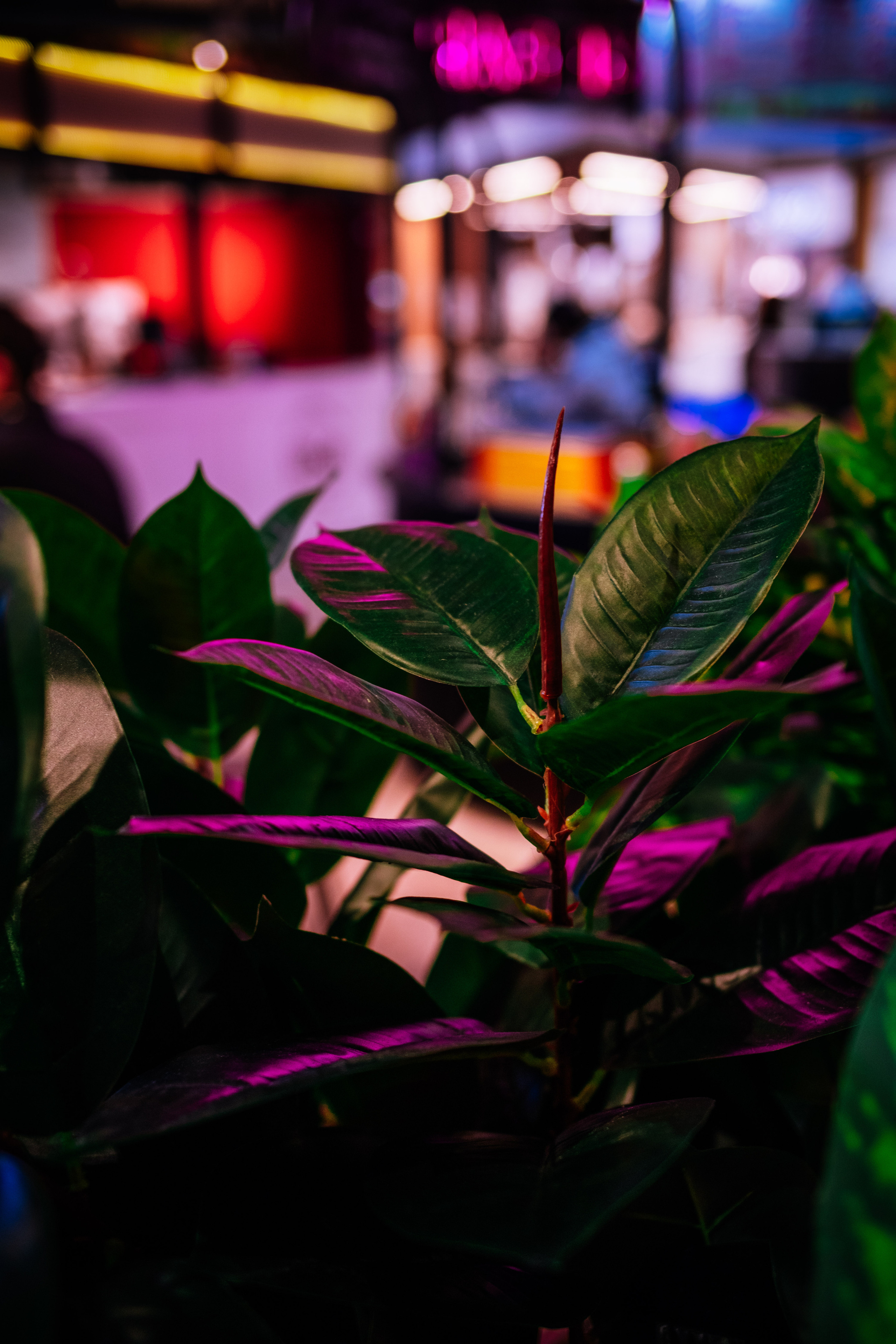 SOMEWHERE. Репортажный и клубный фотограф Москва