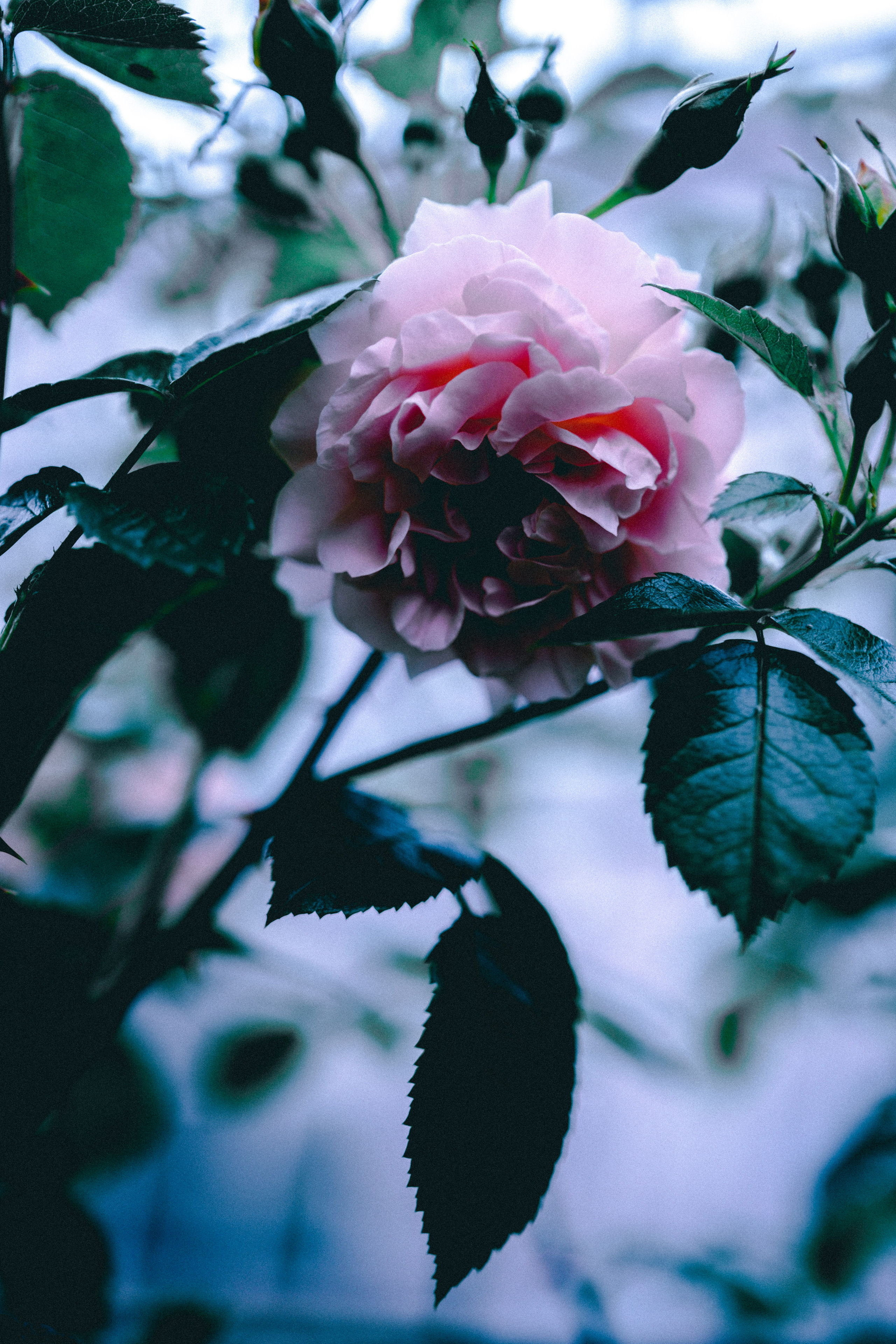 SOMEWHERE. Репортажный и клубный фотограф Москва