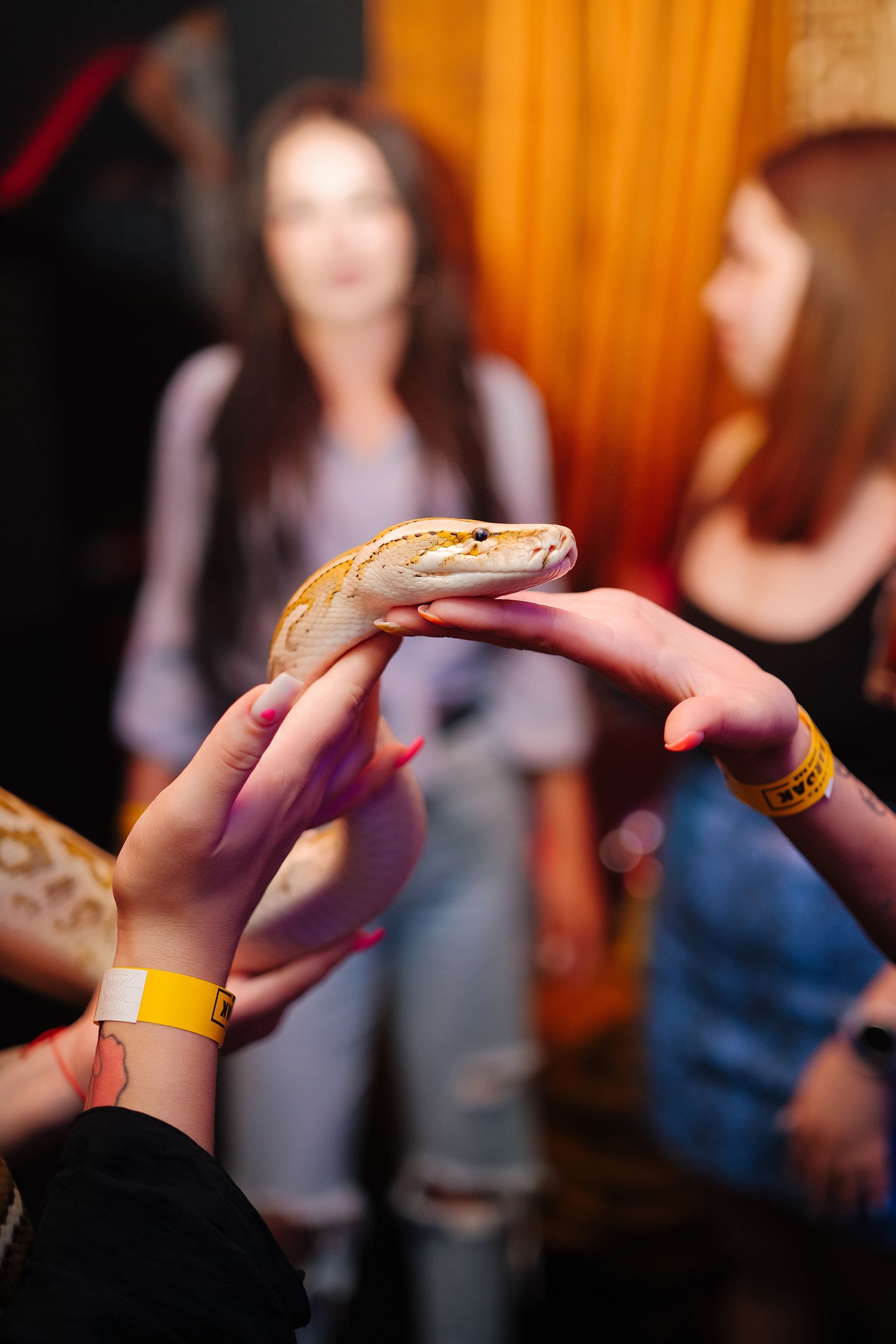 BARDAK BAR. Репортажный и клубный фотограф Москва