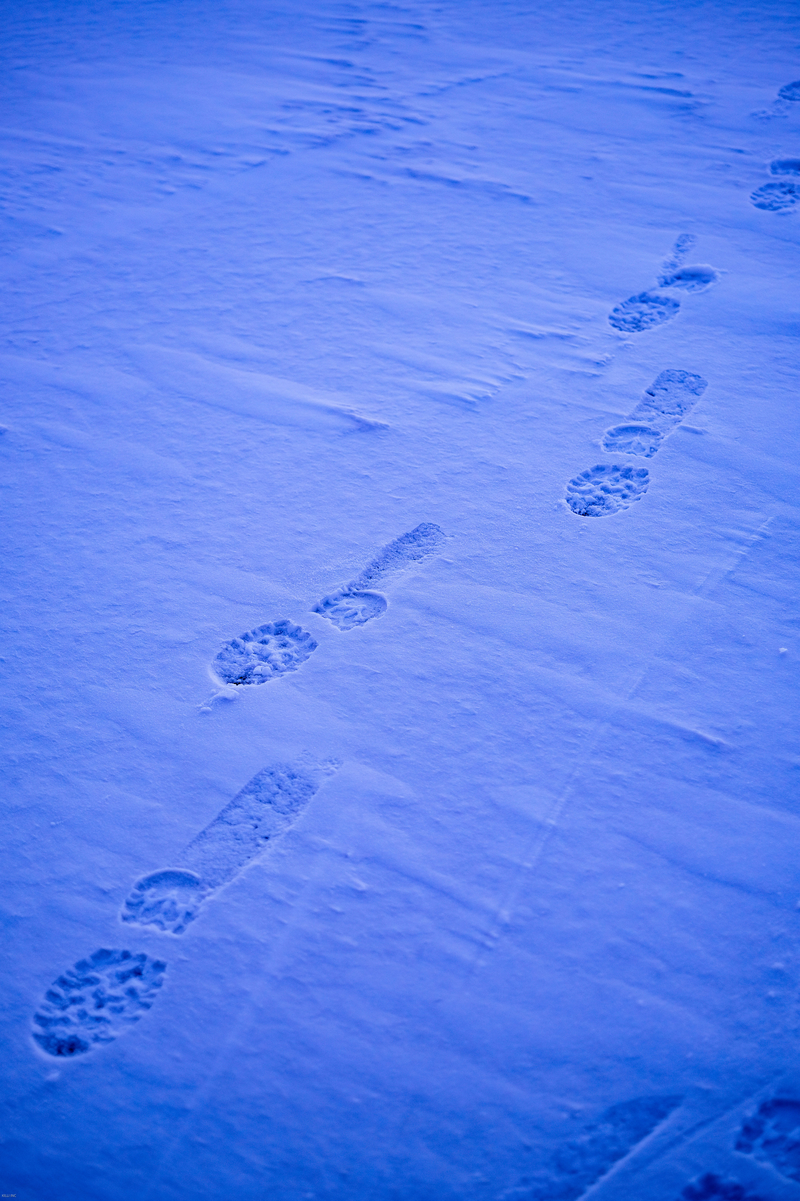 SOMEWHERE. Репортажный и клубный фотограф Москва