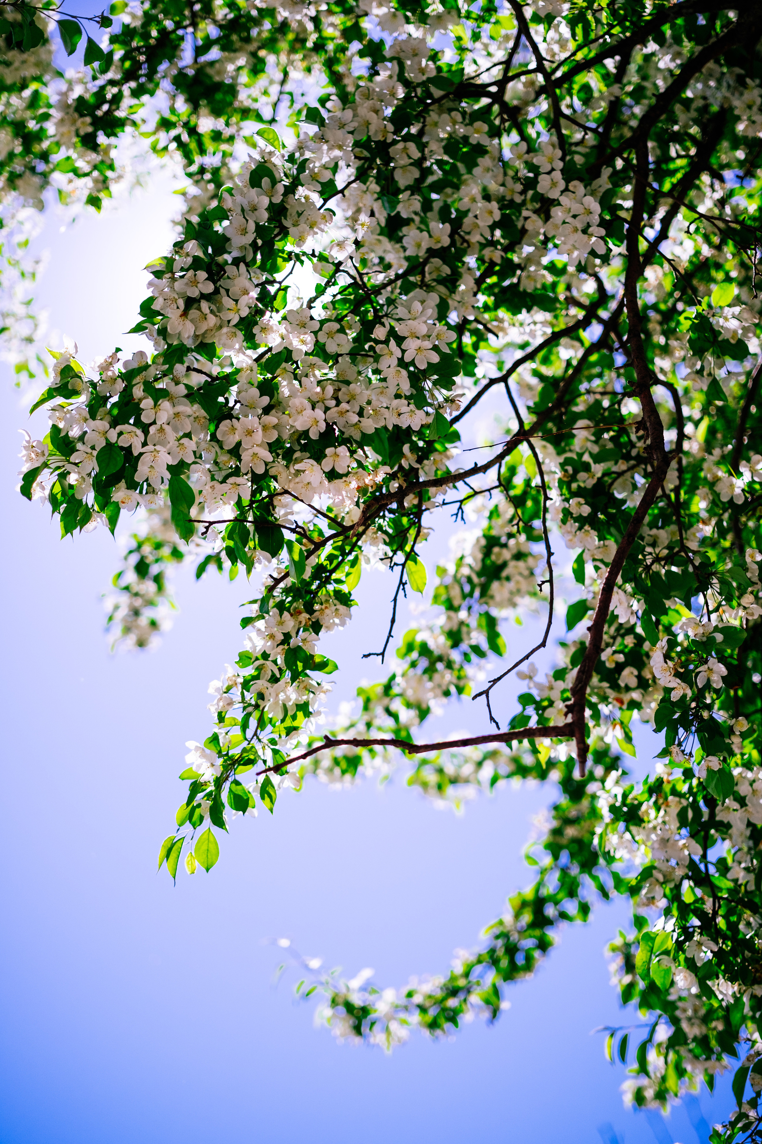 SOMEWHERE. Репортажный и клубный фотограф Москва