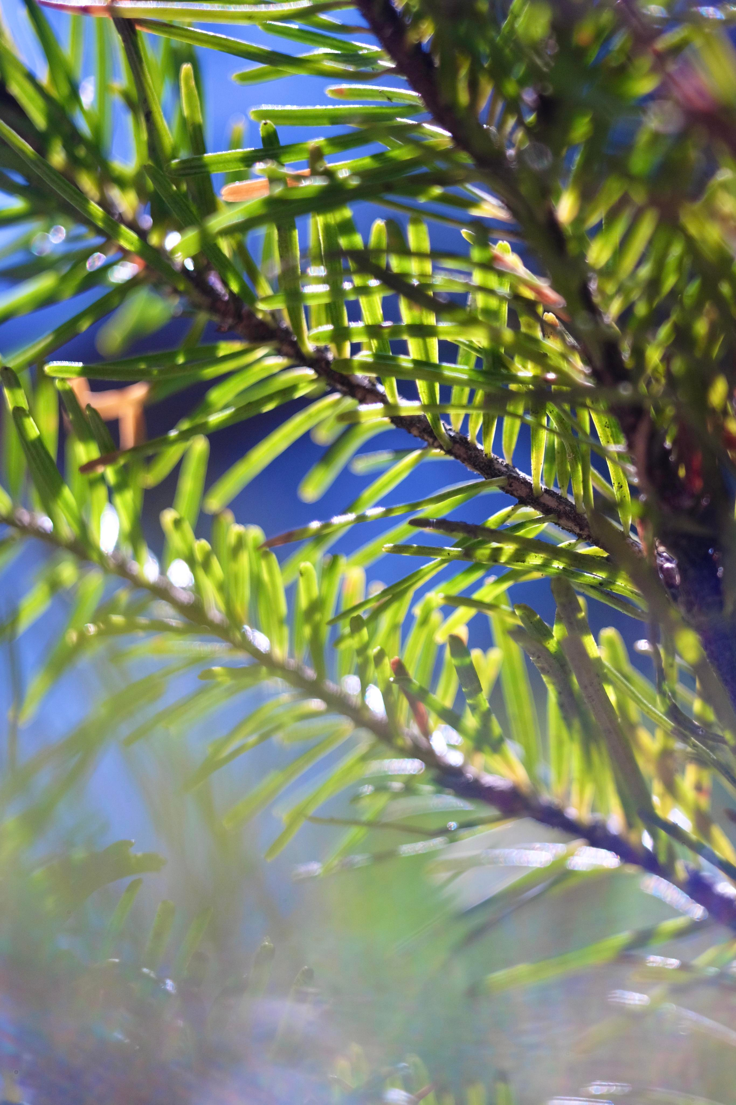 SOMEWHERE. Репортажный и клубный фотограф Москва