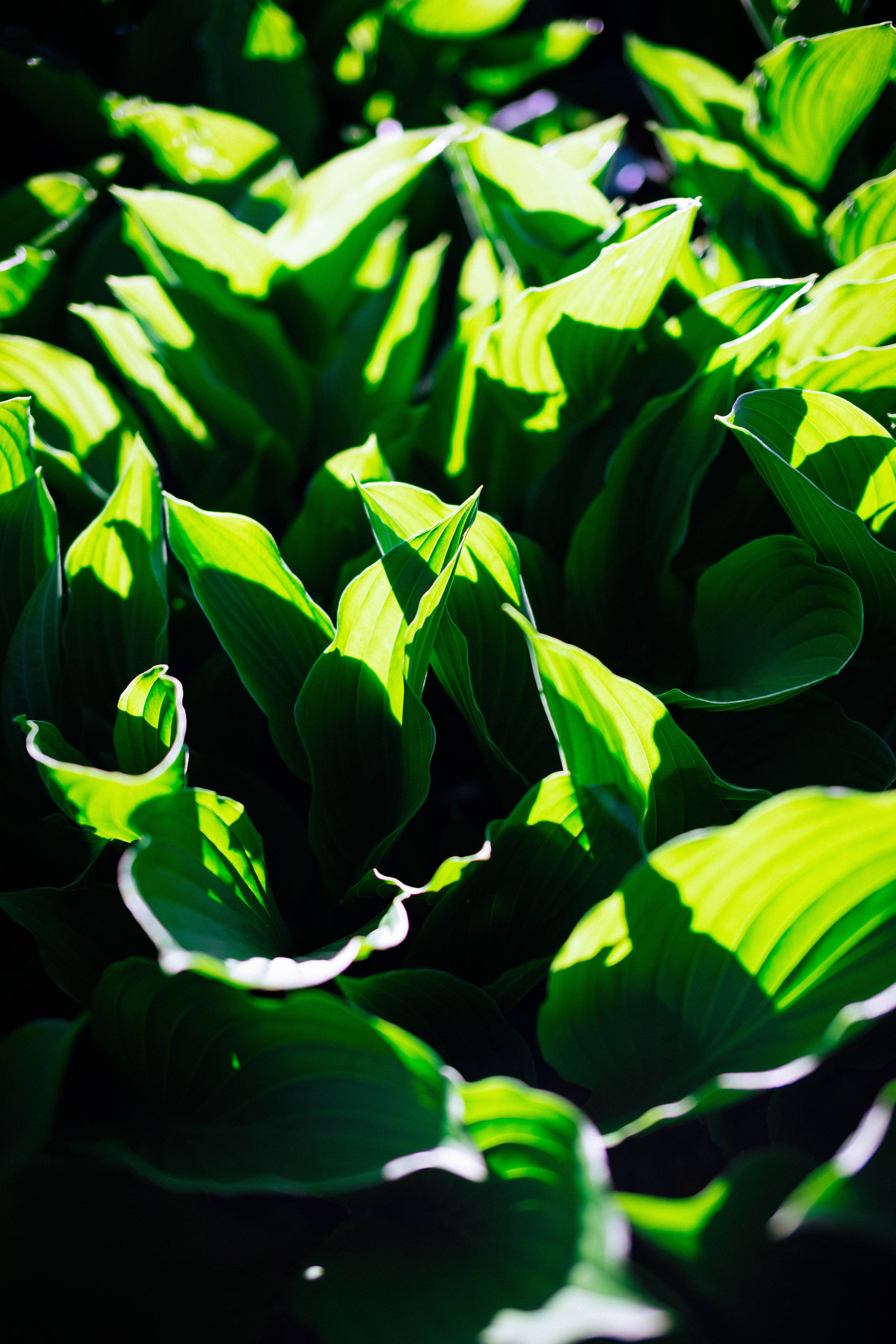 SOMEWHERE. Репортажный и клубный фотограф Москва