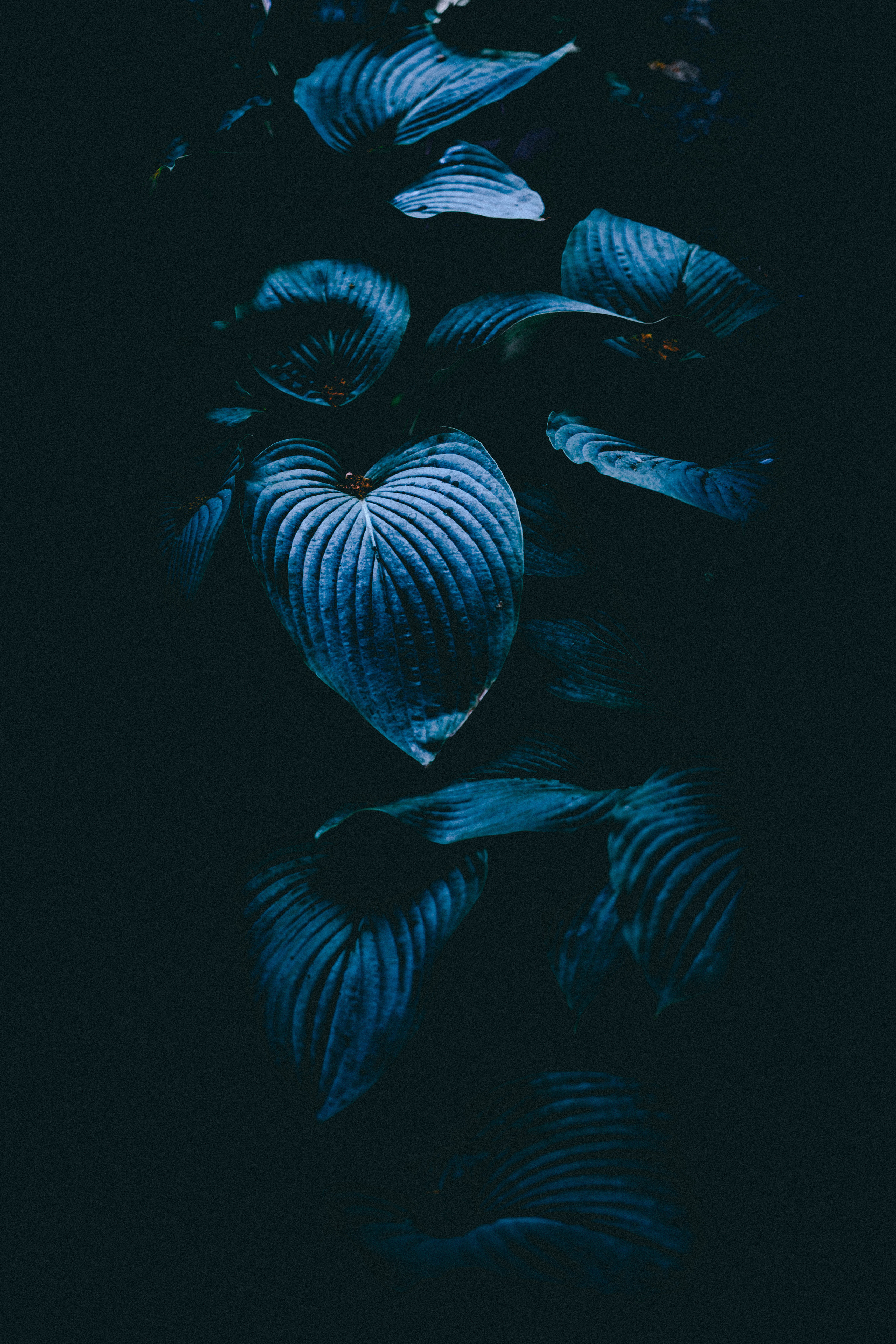 SOMEWHERE. Репортажный и клубный фотограф Москва