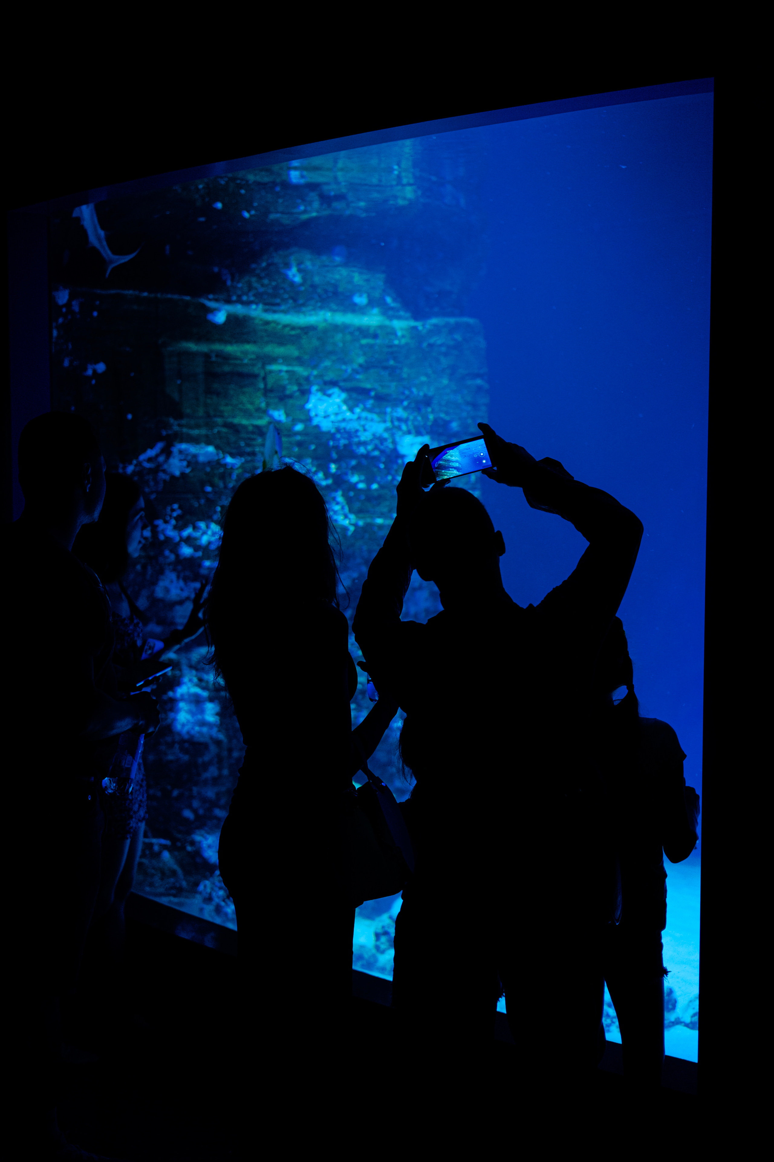 PORTRAITS. Репортажный и клубный фотограф Москва