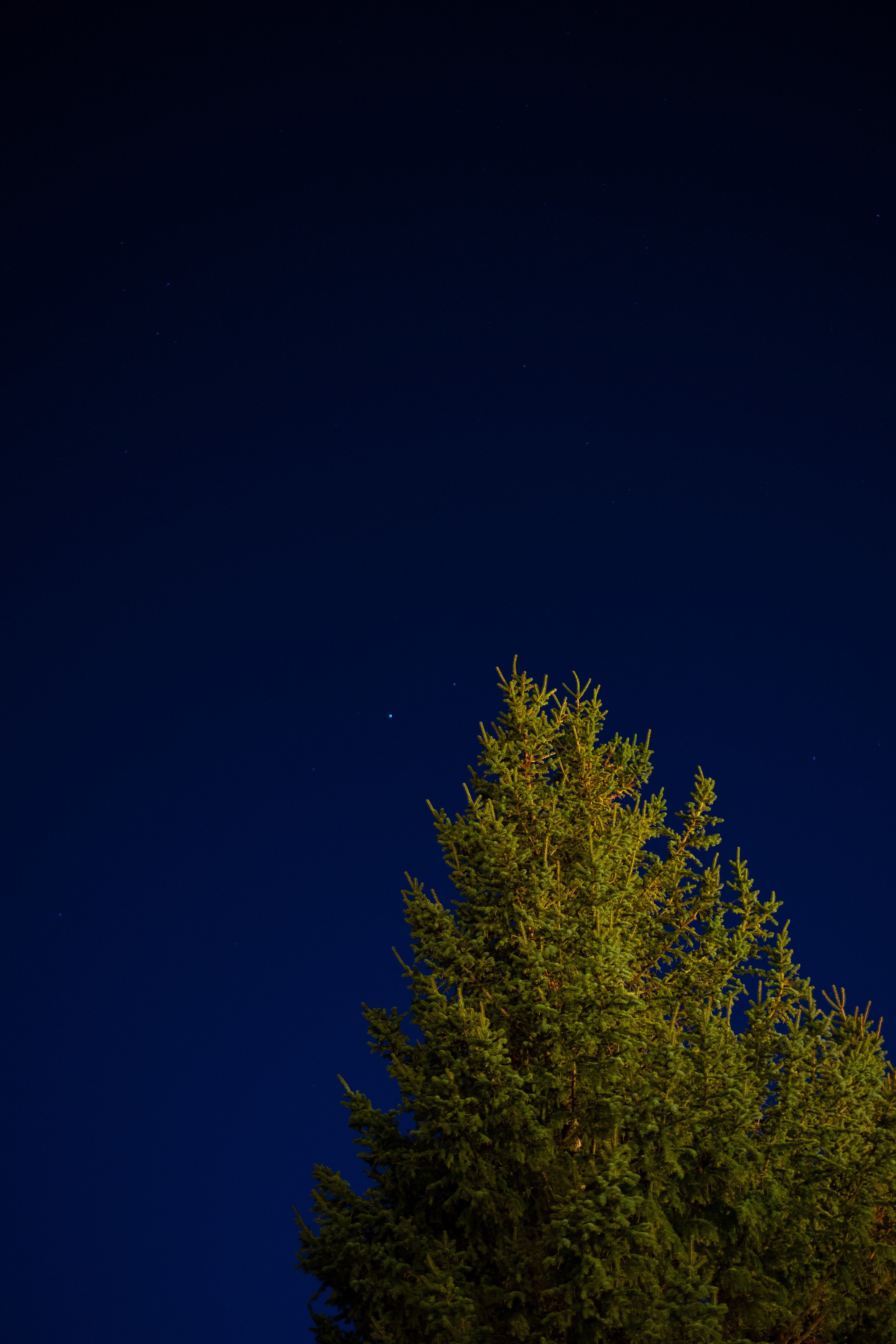 SOMEWHERE. Репортажный и клубный фотограф Москва