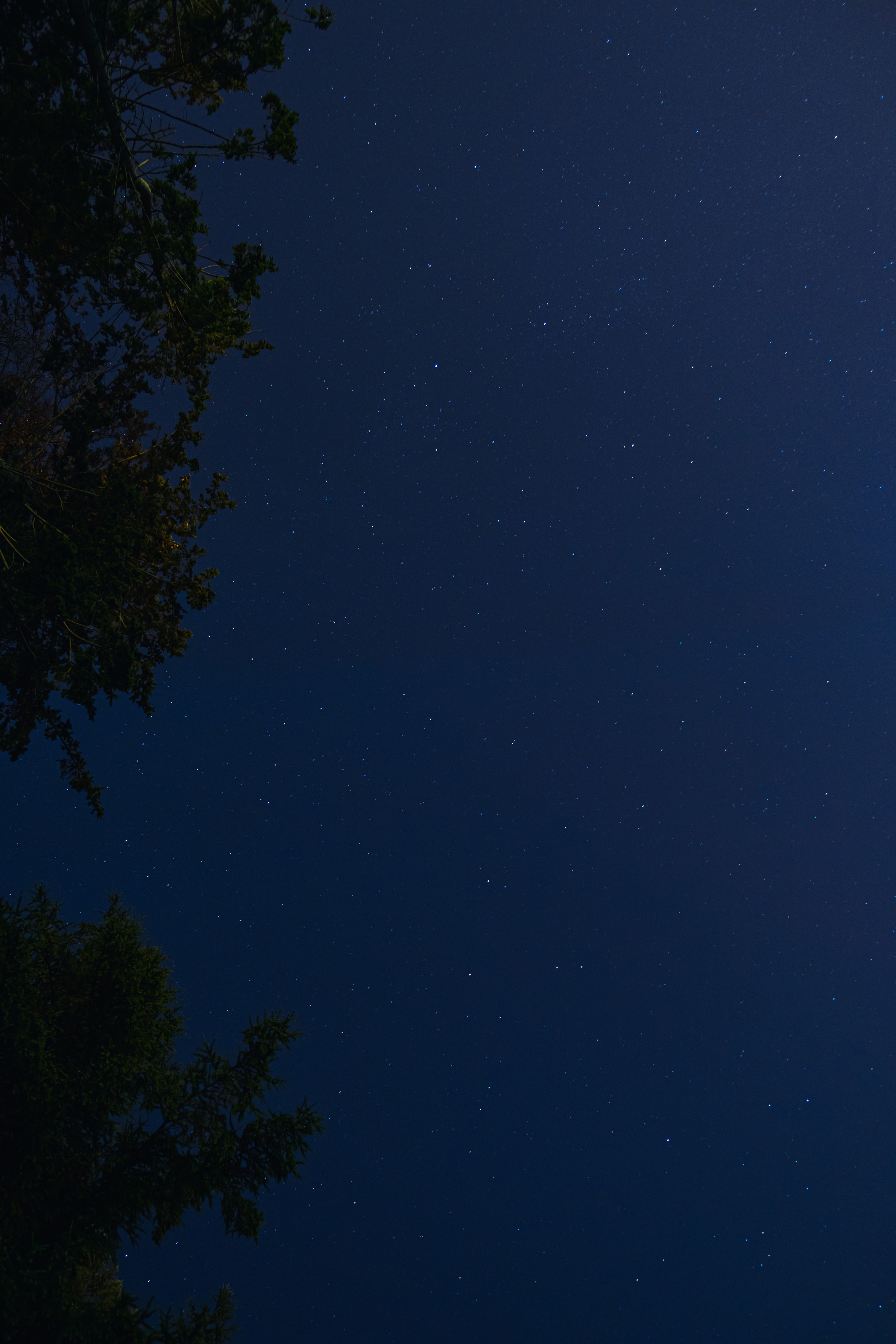 SOMEWHERE. Репортажный и клубный фотограф Москва