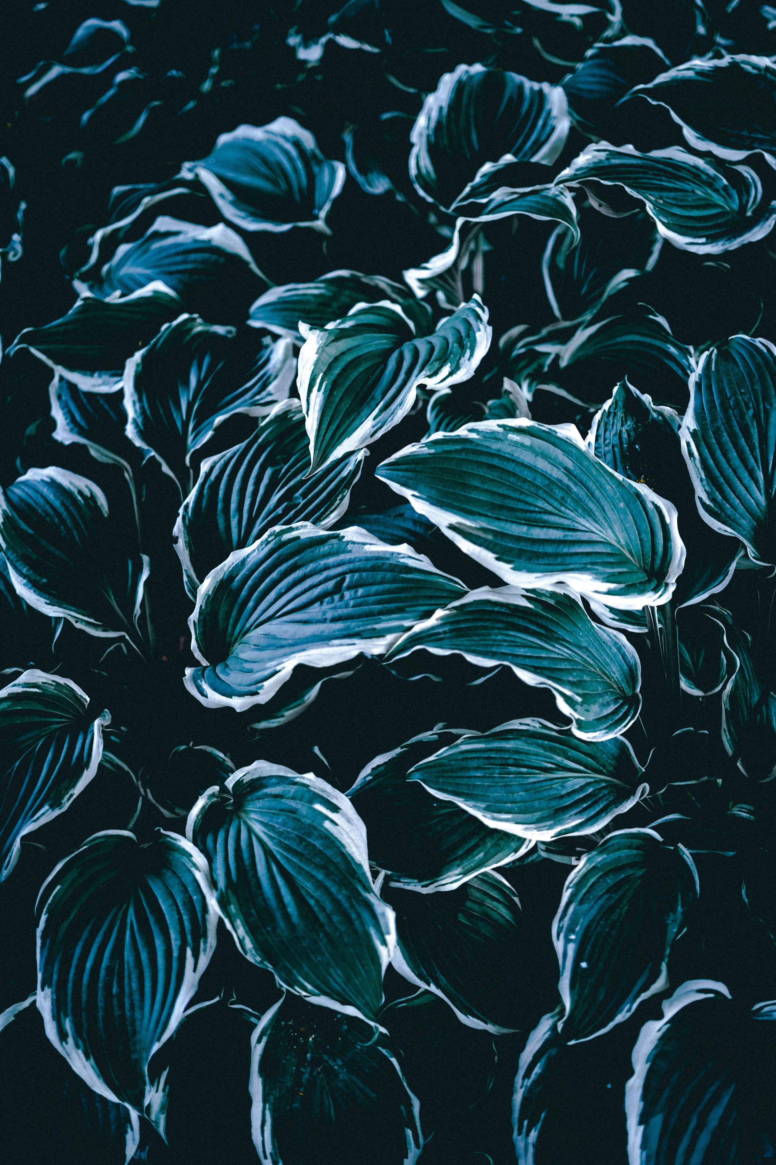 SOMEWHERE. Репортажный и клубный фотограф Москва