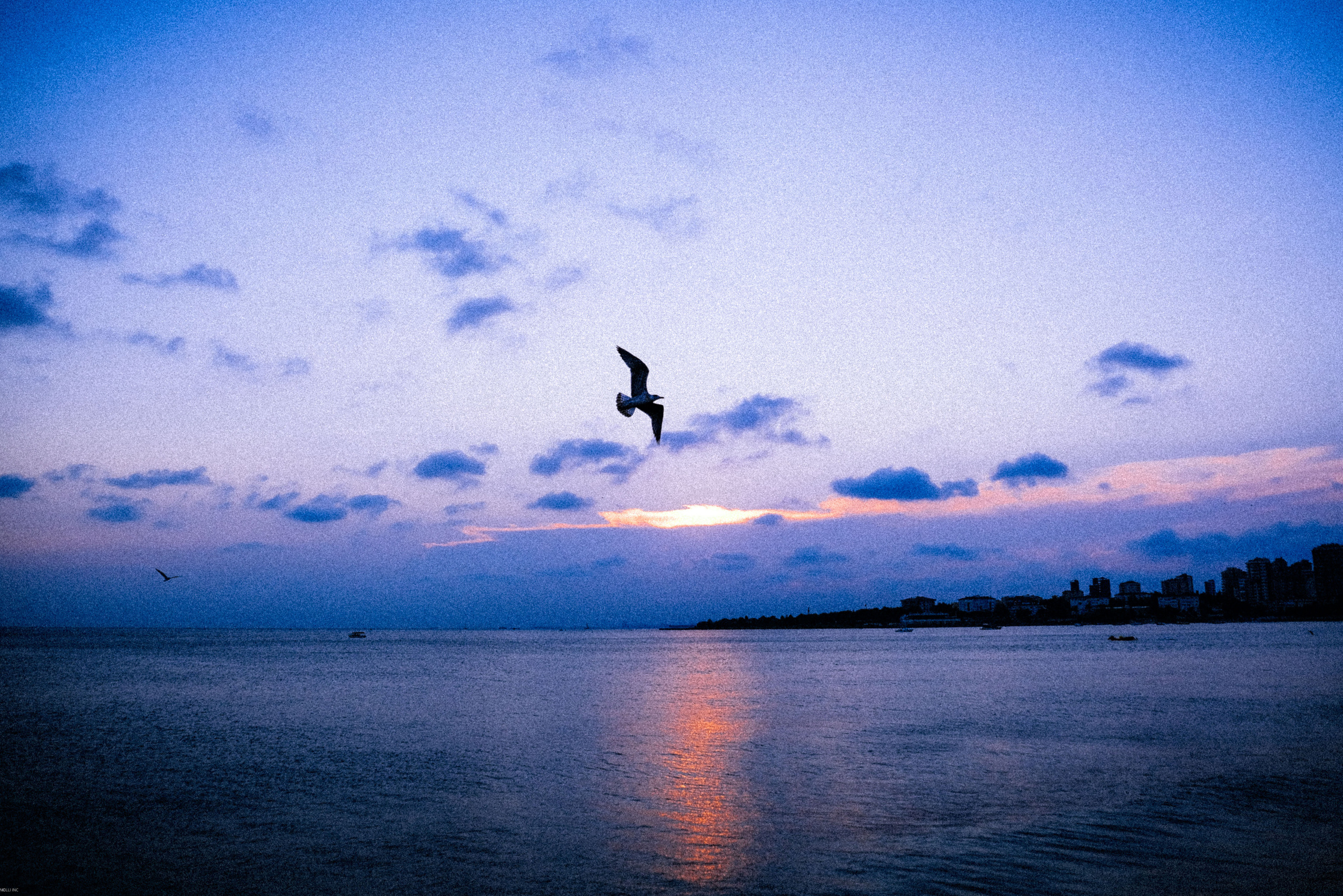 SOMEWHERE. Репортажный и клубный фотограф Москва