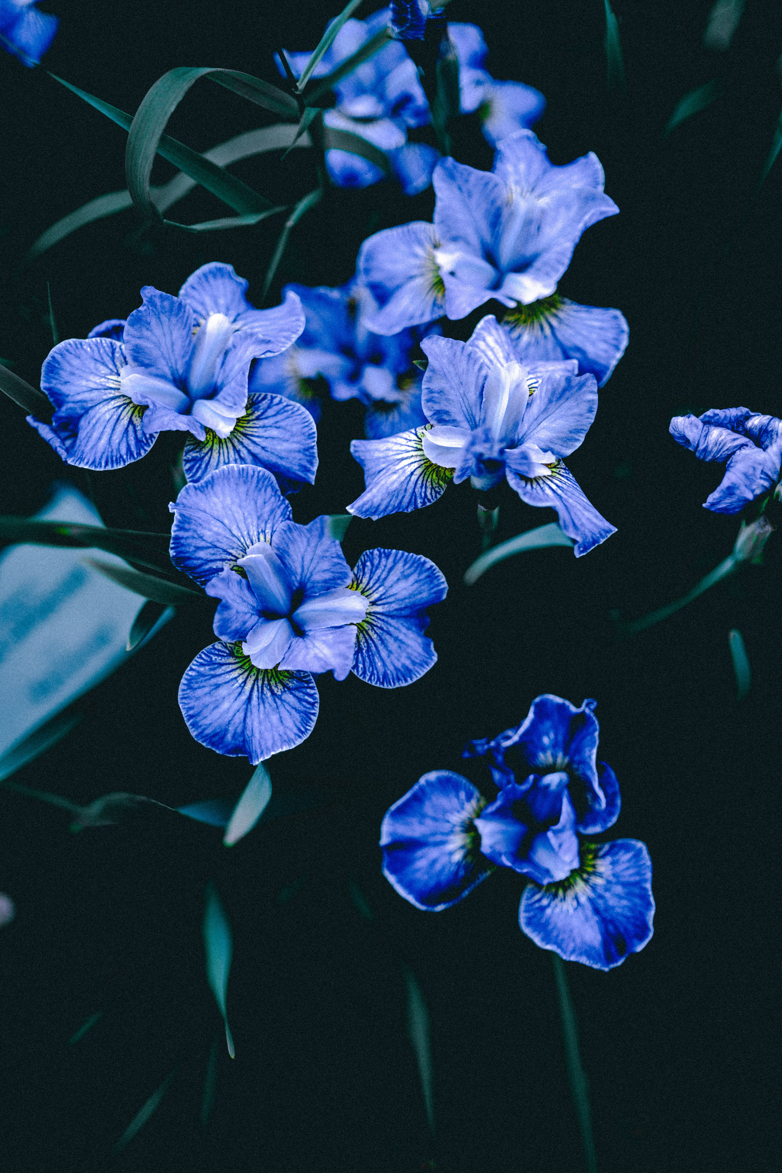 SOMEWHERE. Репортажный и клубный фотограф Москва