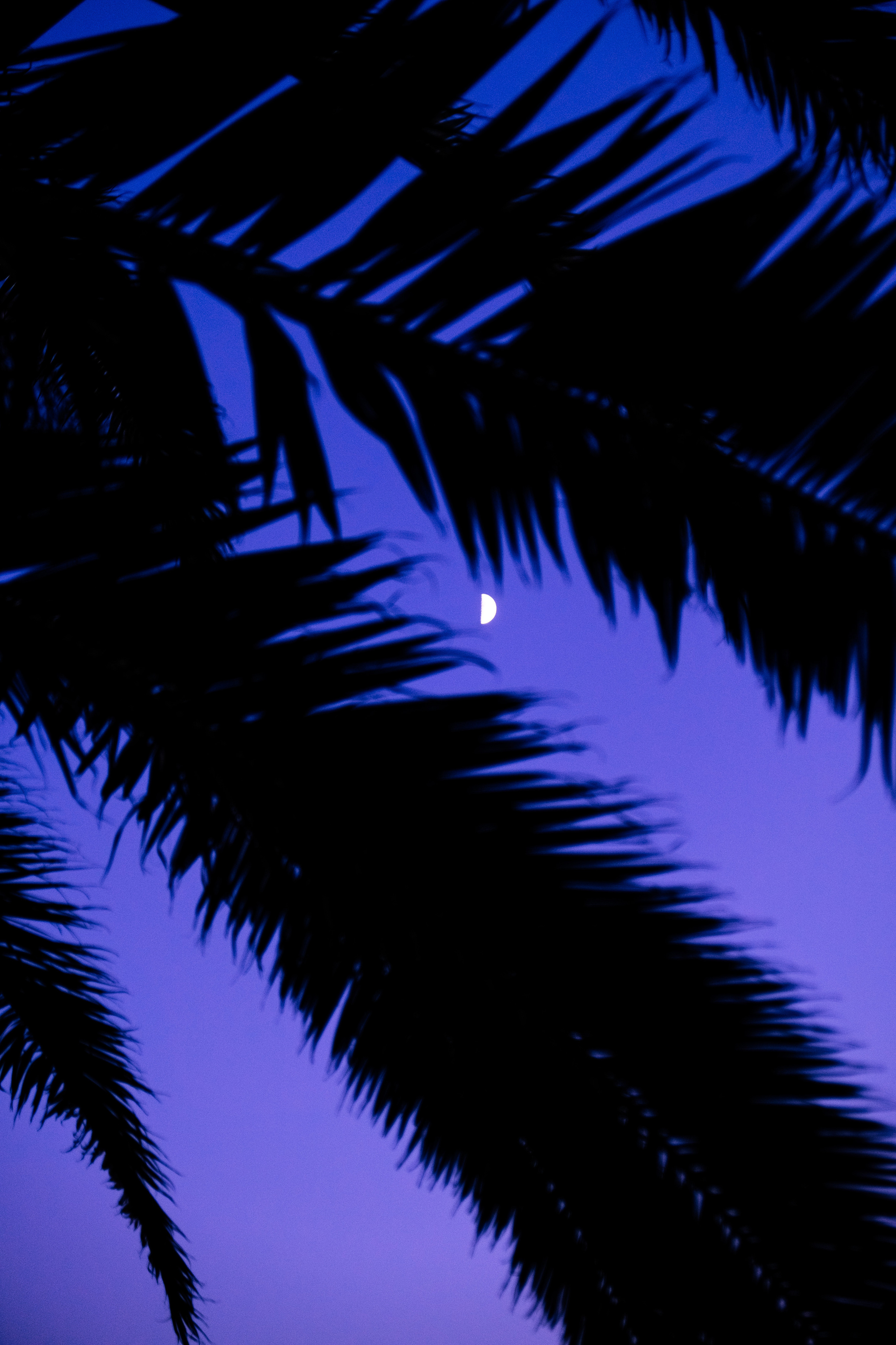 SOMEWHERE. Репортажный и клубный фотограф Москва