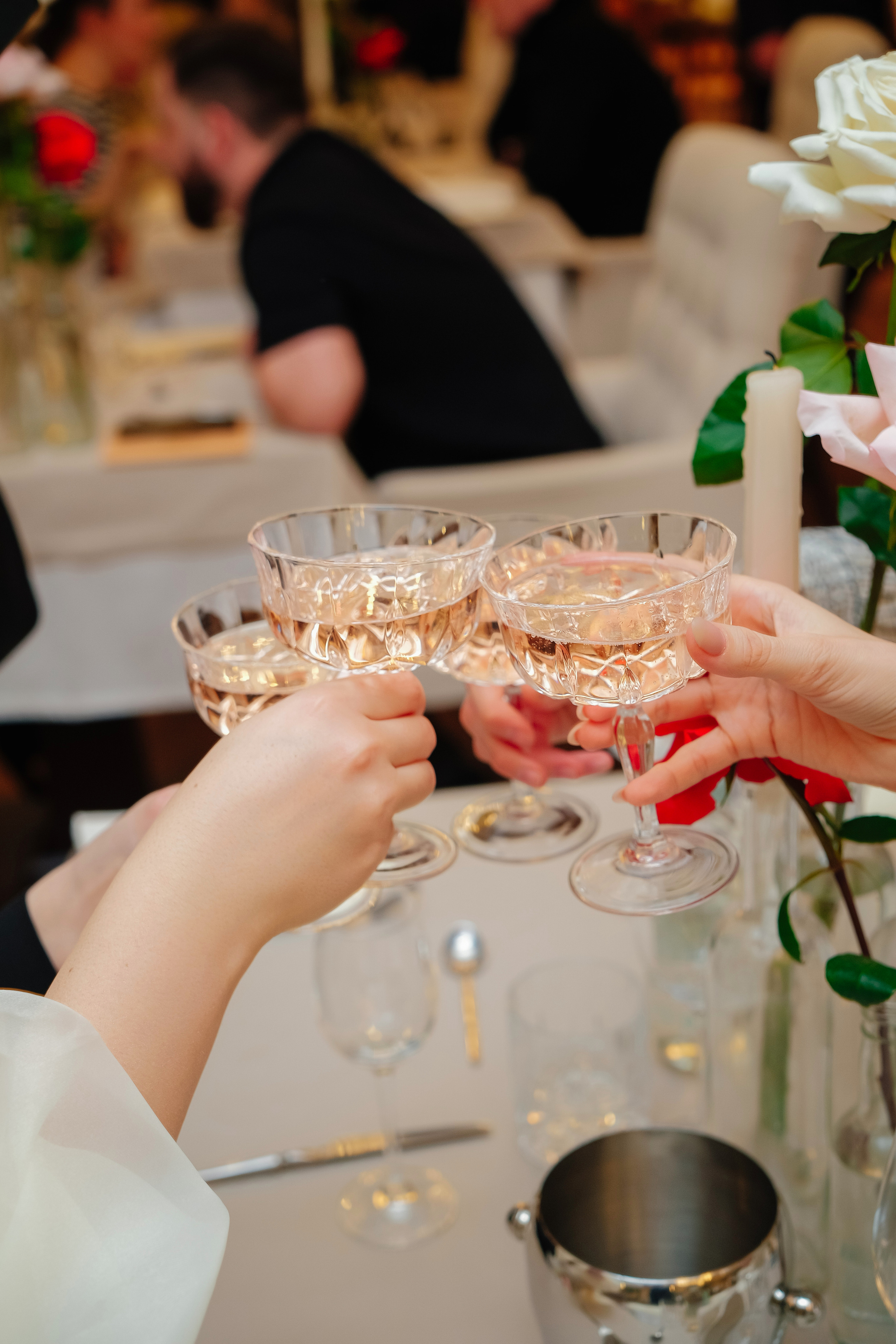 Дегустация вин в ресторане «Сварог». Репортажный и клубный фотограф Москва