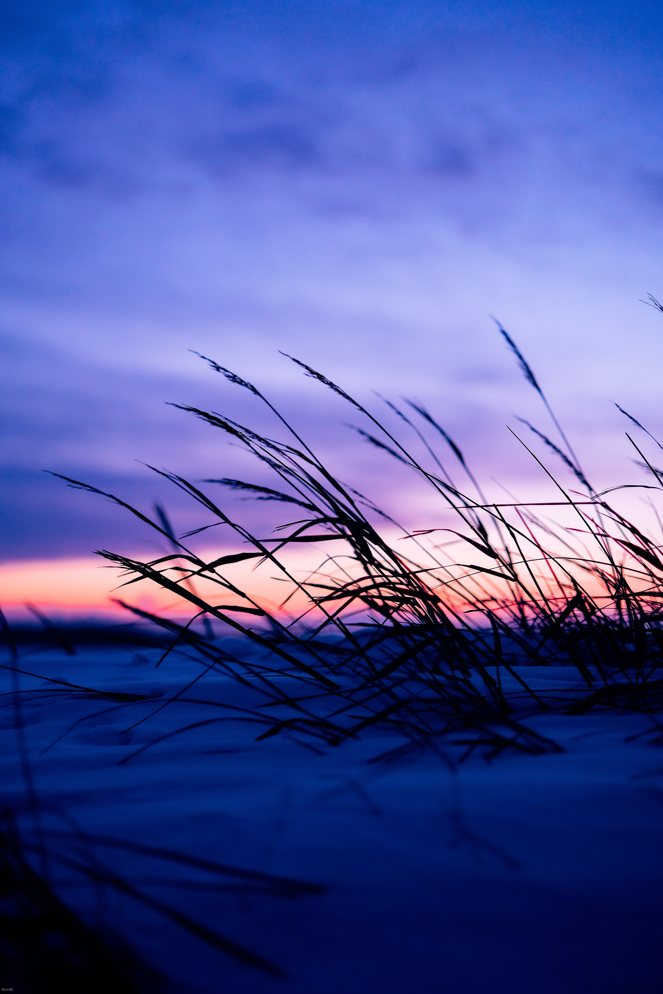 SOMEWHERE. Репортажный и клубный фотограф Москва