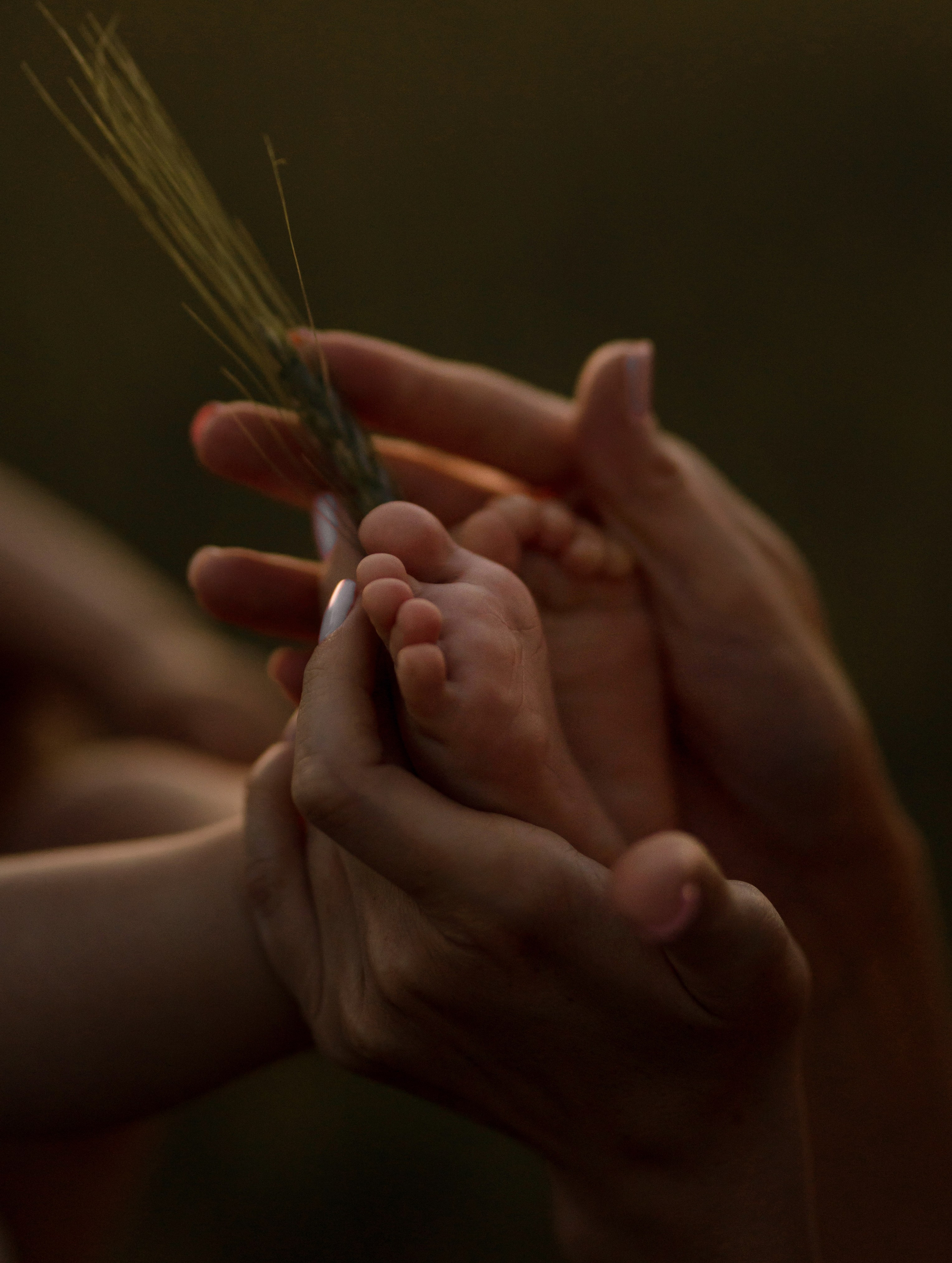 Стоимость. Фотограф Алматы Ким Екатерина