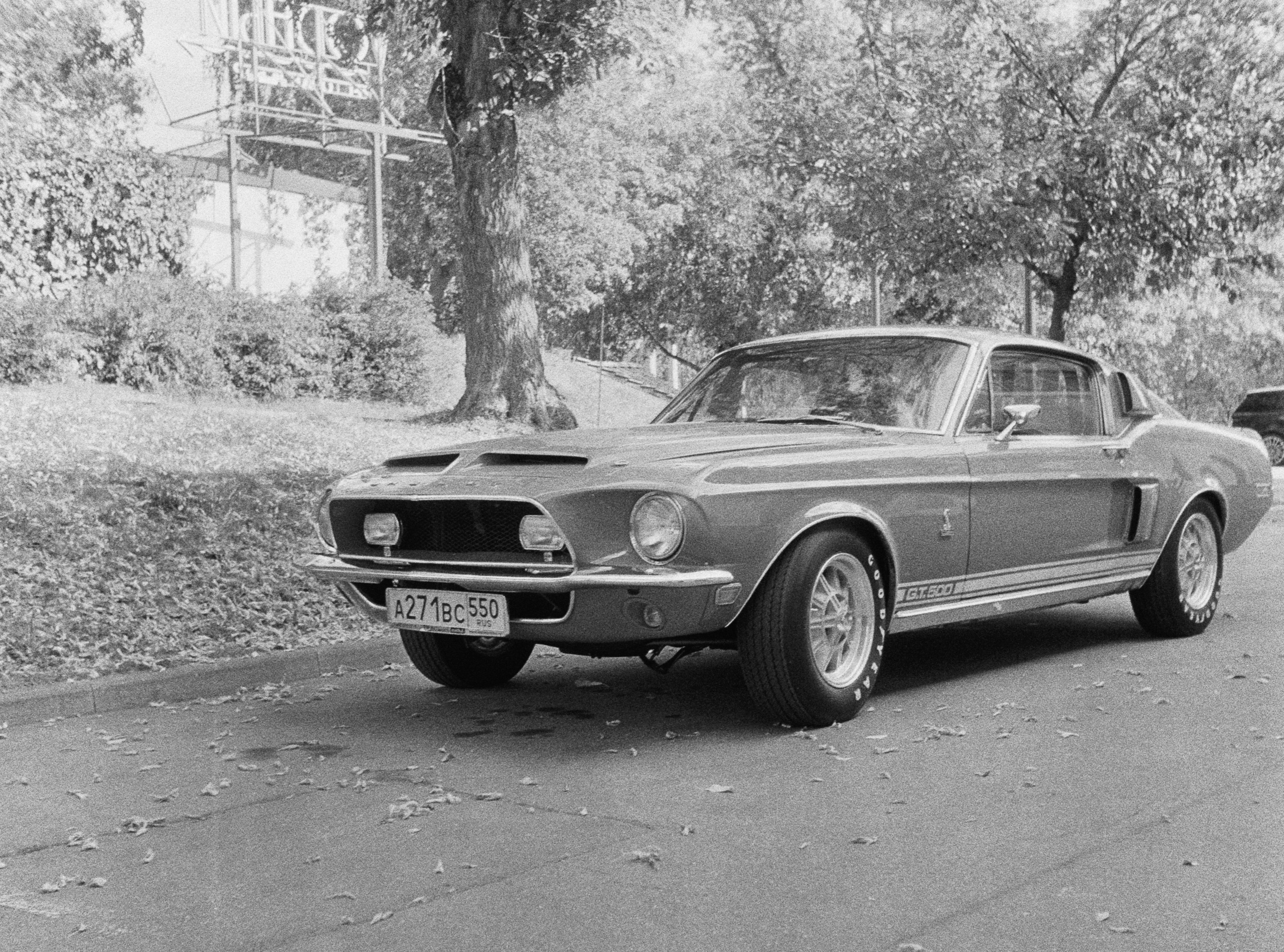 Роскошь. Сергей Новиков Фотограф Москва