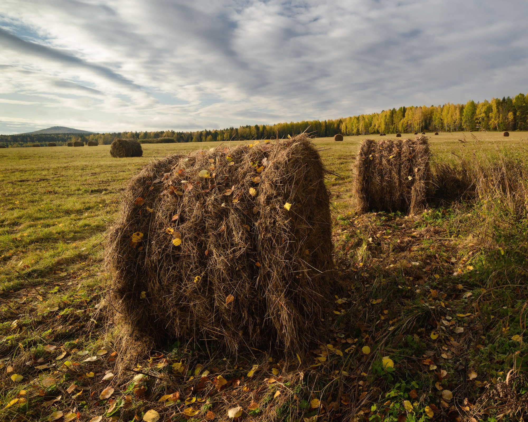 Осенние пейзажи Черноисточинска | Фотограф Николай Обухов
