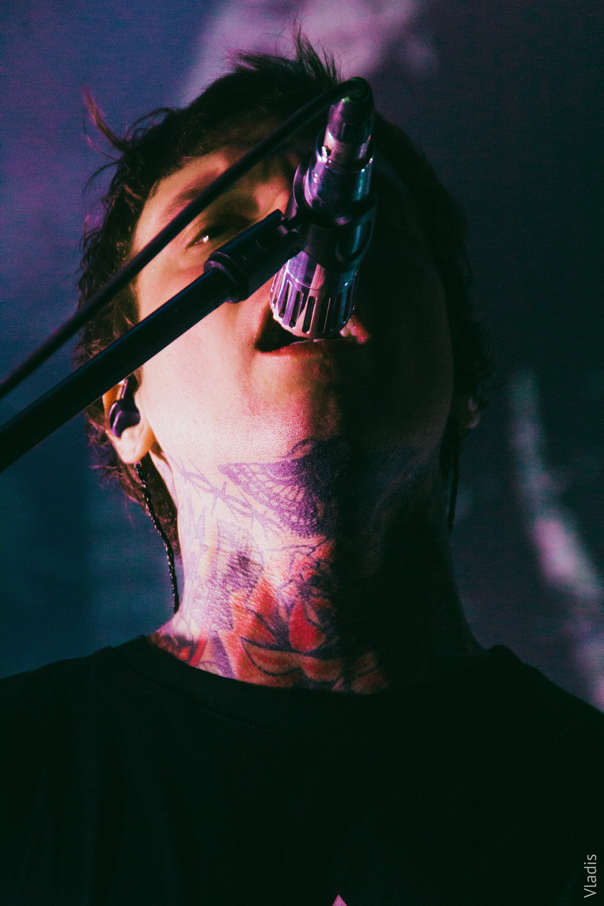 AMATORY BASE NEW YEAR FEST 2026 | Петербург. VLADIS PISKUNOV | Концертные Фото |Репортажи