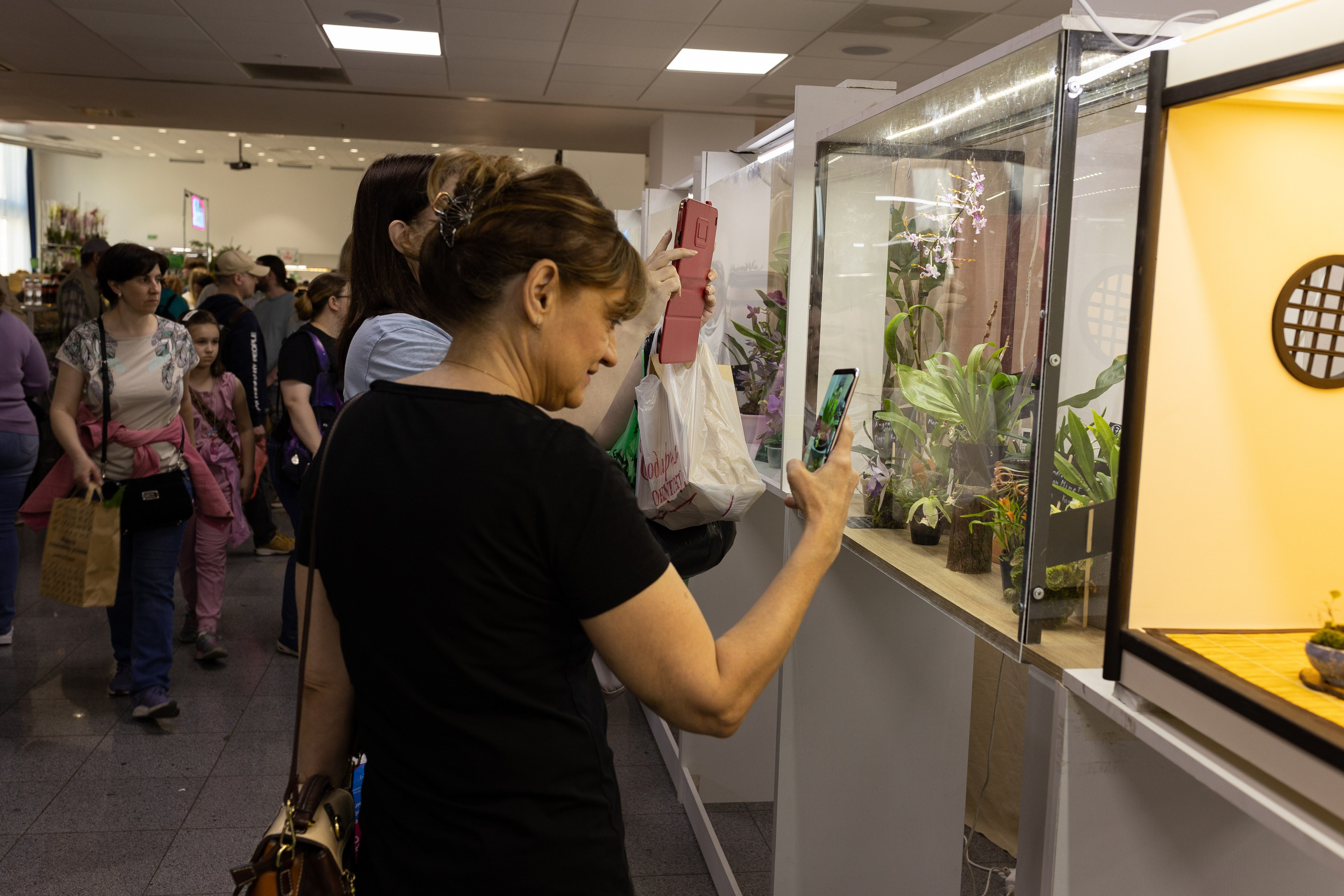 Орхидиум июнь 2024. Александра Куликова фотограф, Москва