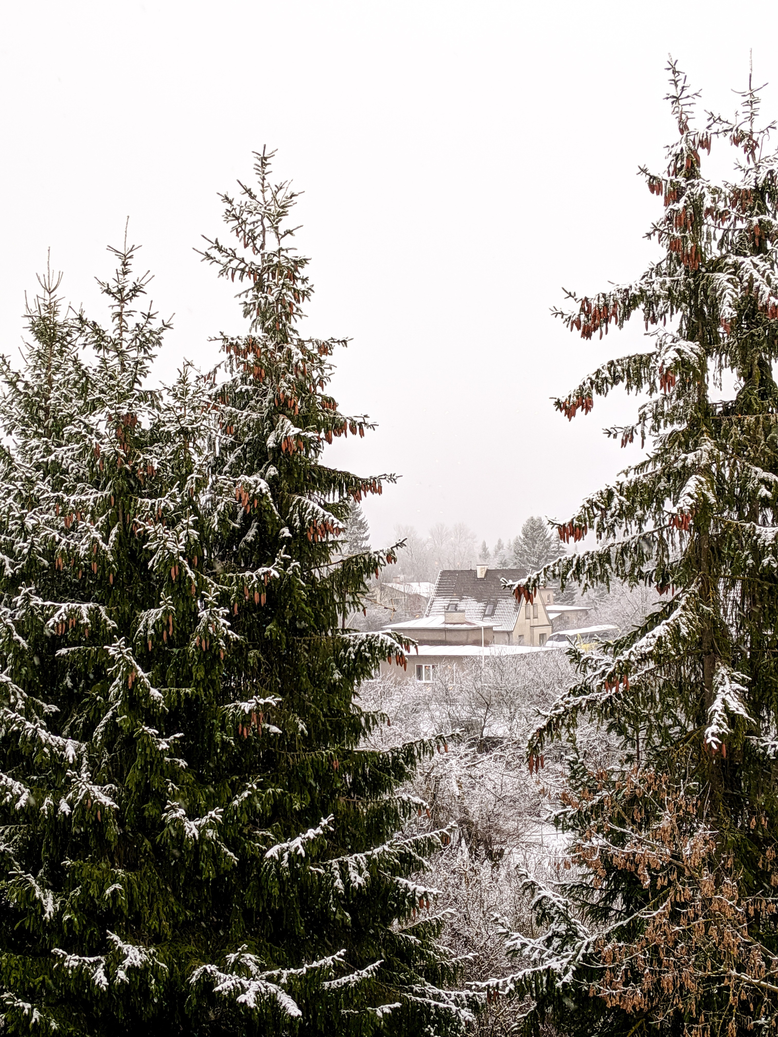 Зима под одеялом. Soulstamina ~ graphic designer & visual artist from St.Petersburg