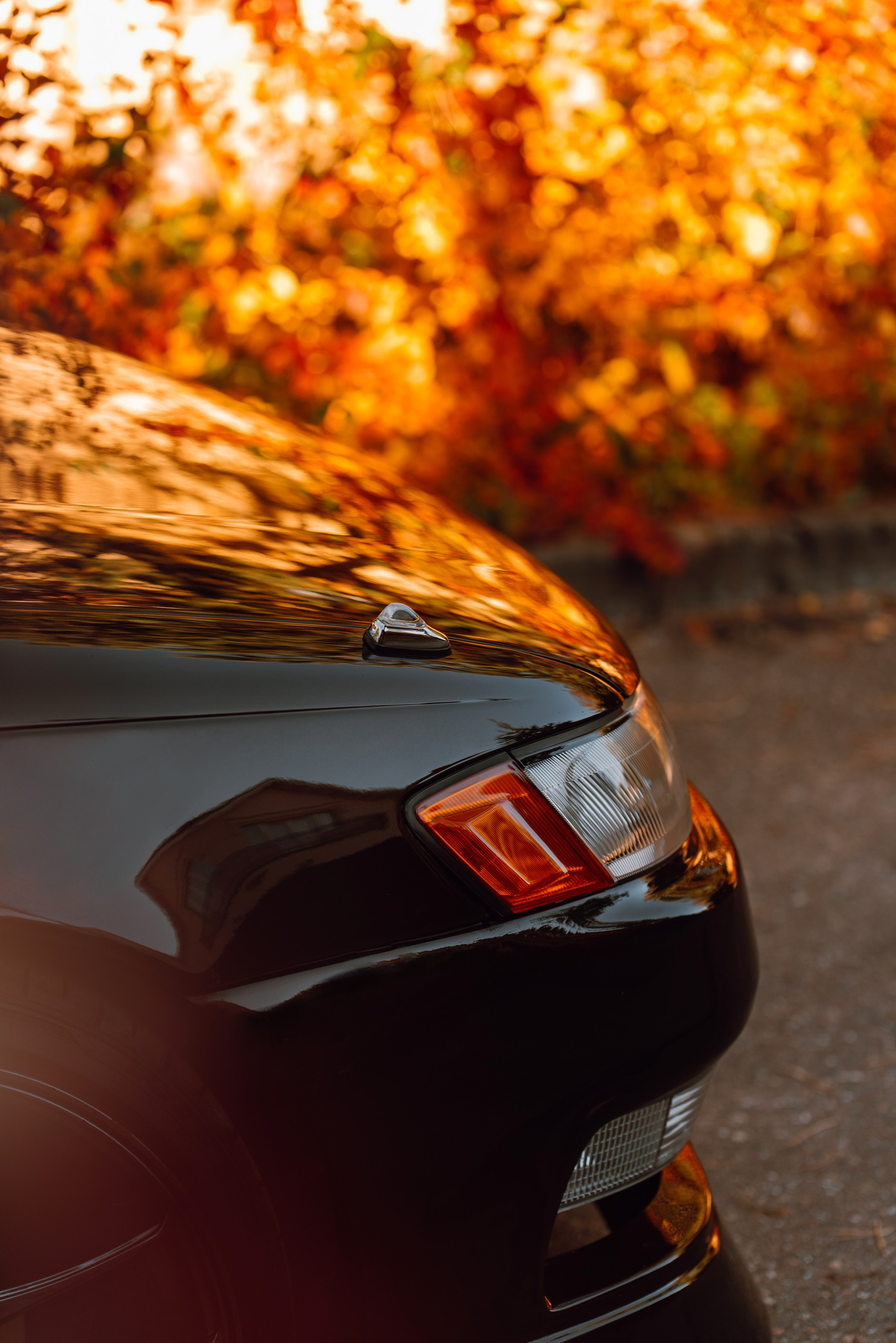 Toyota Mark ii _k_koroleva. DeLorein