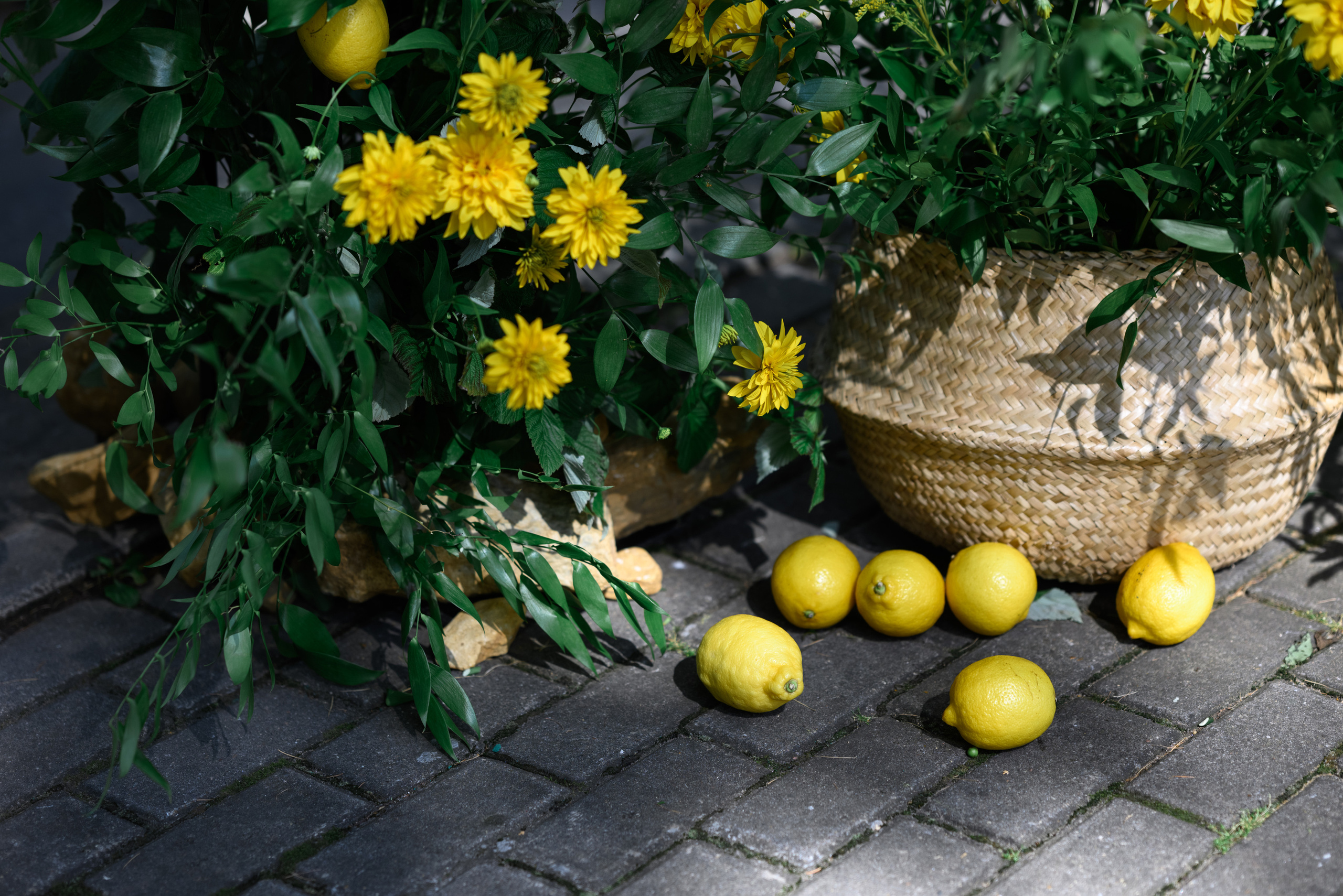 Денис и Ксения. Свадебный фотограф в Москве Артём Кившарь
