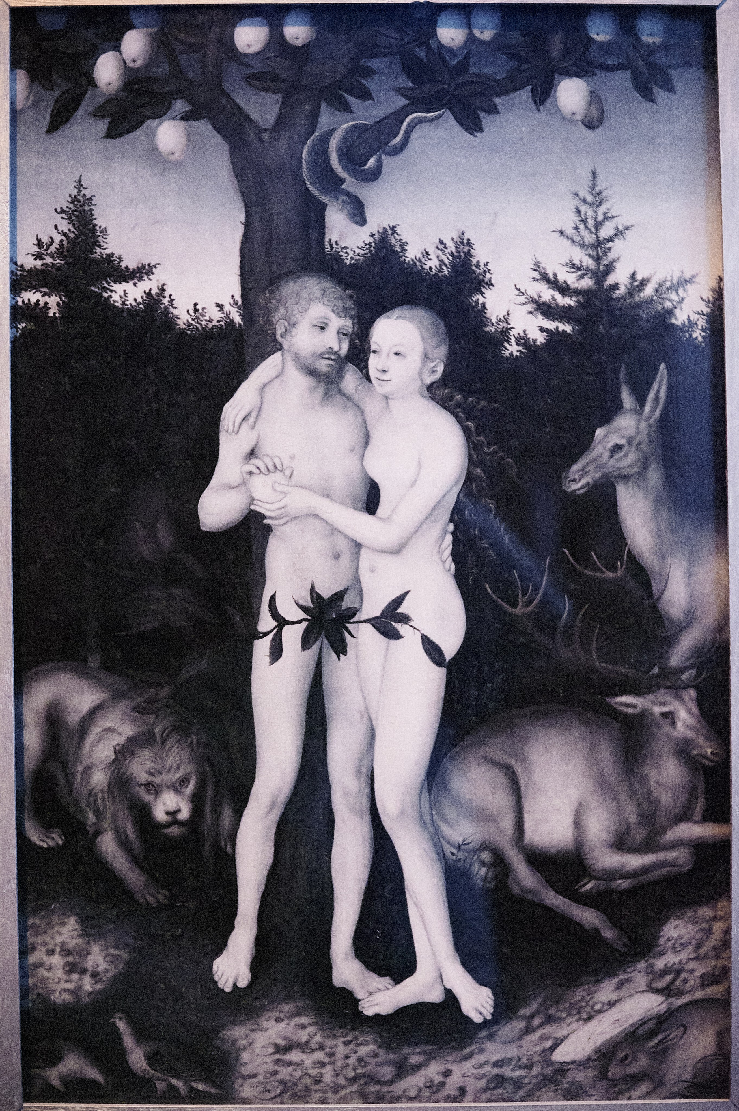 Infrared Photography. Solofilms