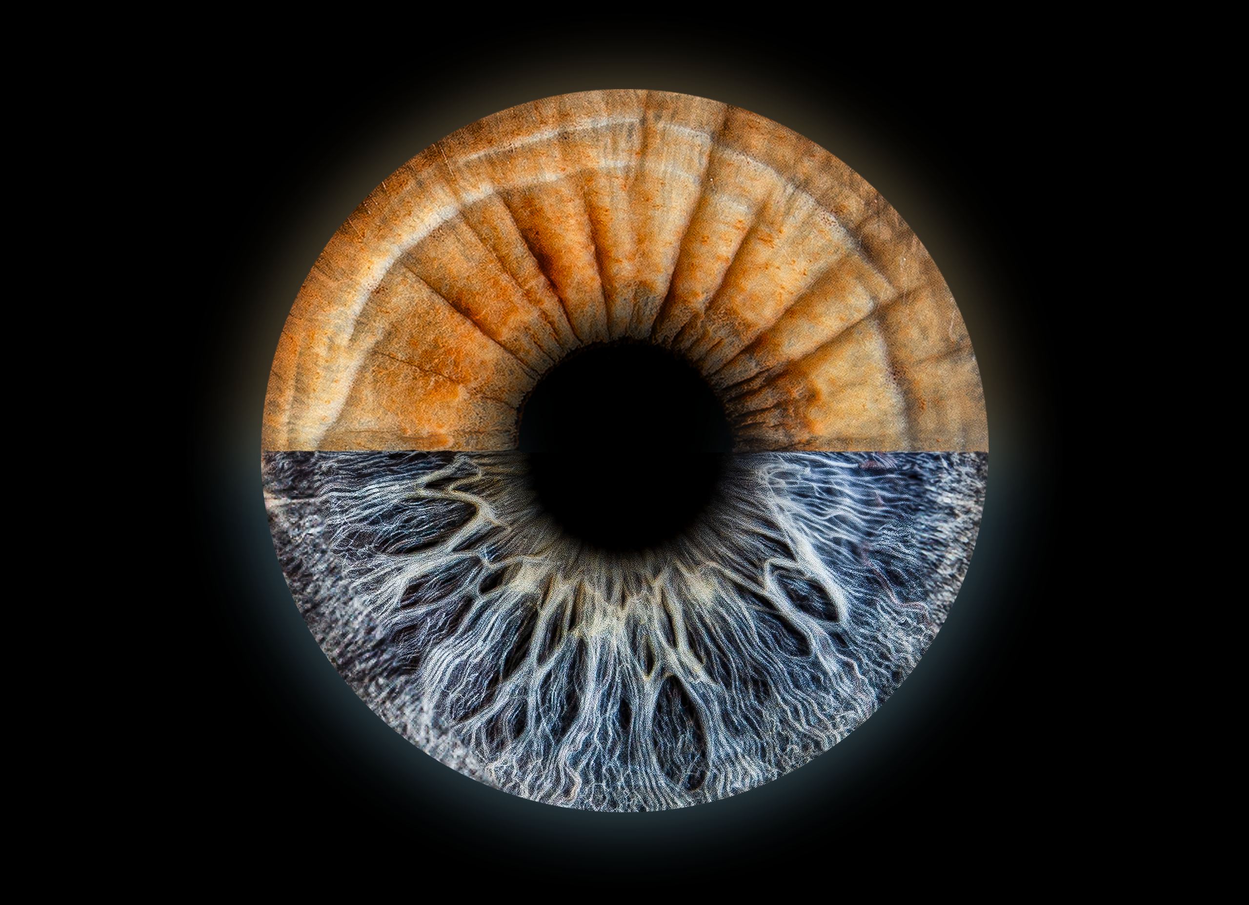 Эффекты. Макро Фото радужки глаза в Зеленоградске