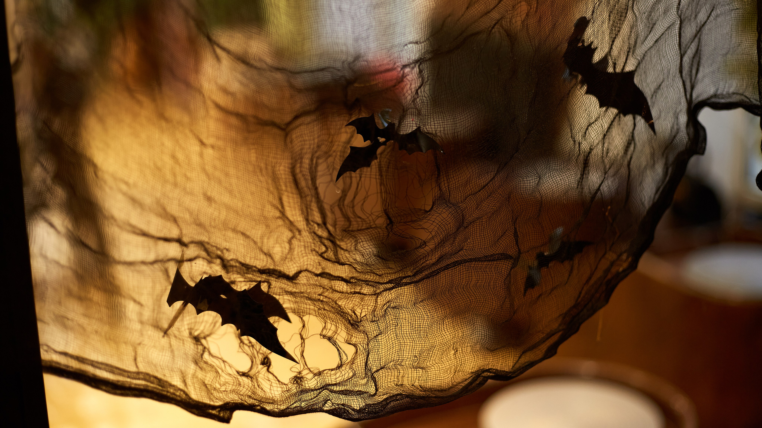 2023-10-20. Risan. Kolokol