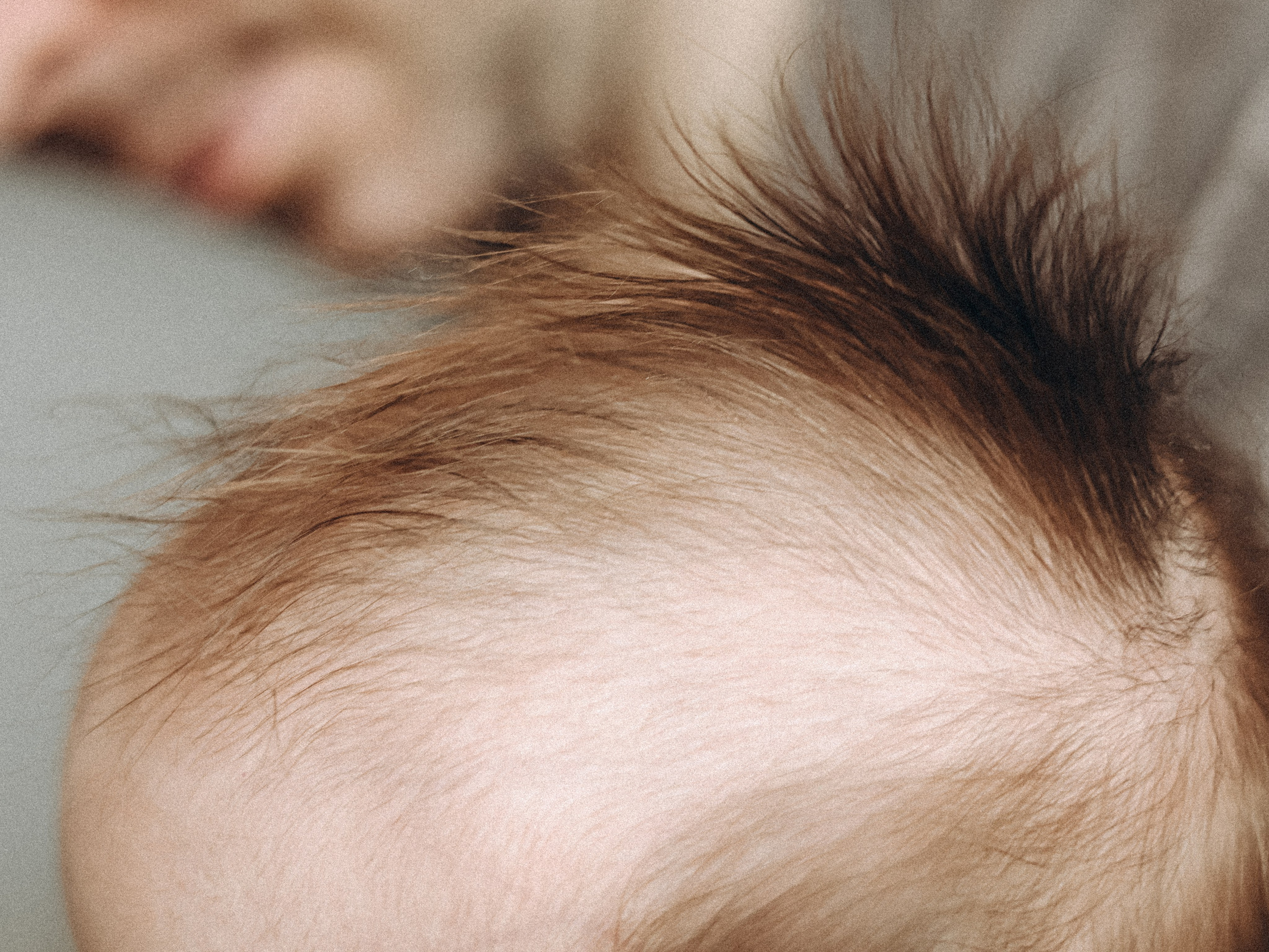 Семейная фотосессия с малышом, с новорожденным, фотосессия в Екатеринбурге, фотосессия в доме, домашняя фотосессия в стиле лайф, фотосессия. Семейный и детский фотограф в  г. Екатеринбурге Холодова Юлия