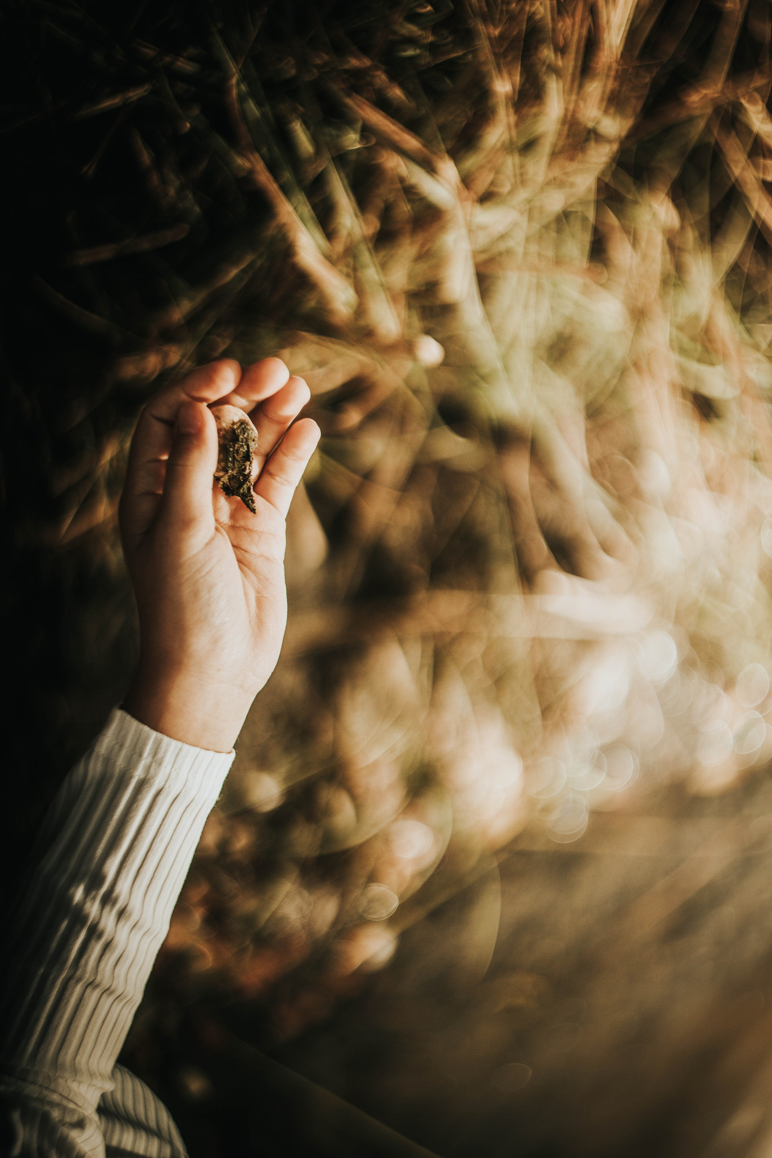 Алиса+ Алёна. Фотограф в Нижнем Новгороде