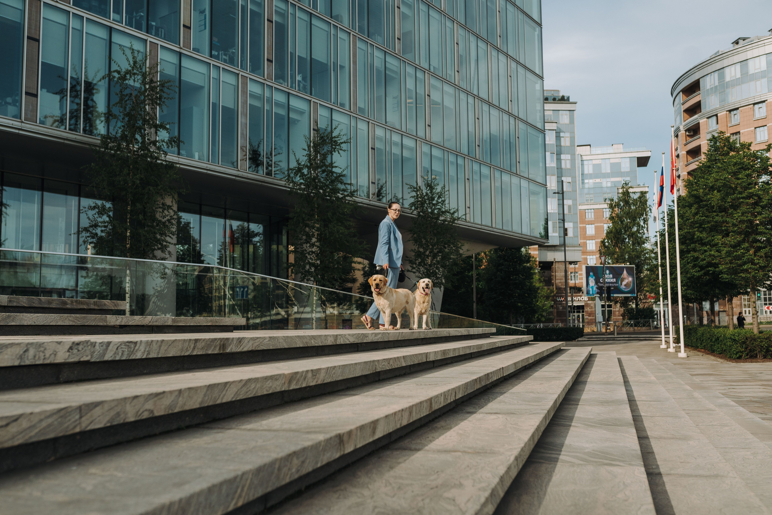 Лабрадоры питомника IRISLAV. Фотограф анималист в Спб недорого Олеся Майорова